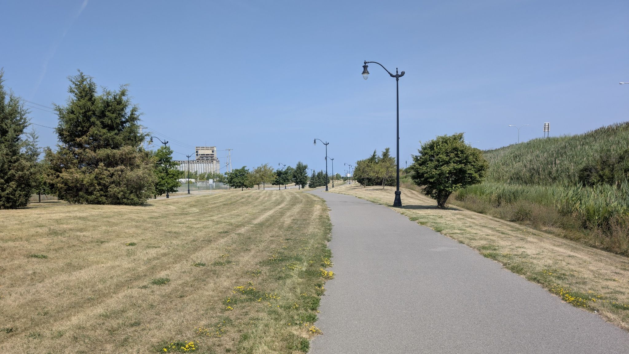Paved path through grassy landscape with trees and streetlights on a sunny day. - Wilkeson Point – Canalside Boardwalk, Buffalo loop from Lackawanna