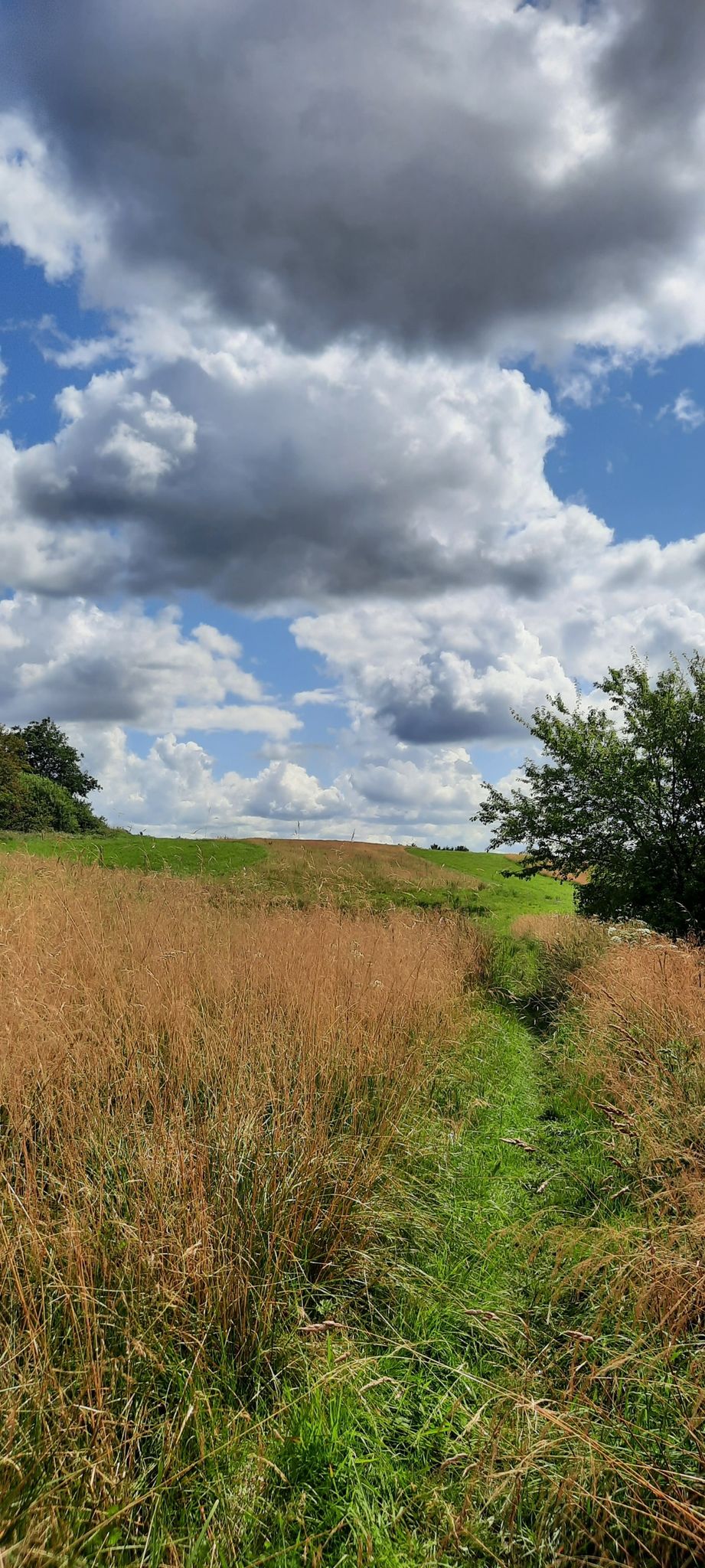 ein herrlicher Weg
