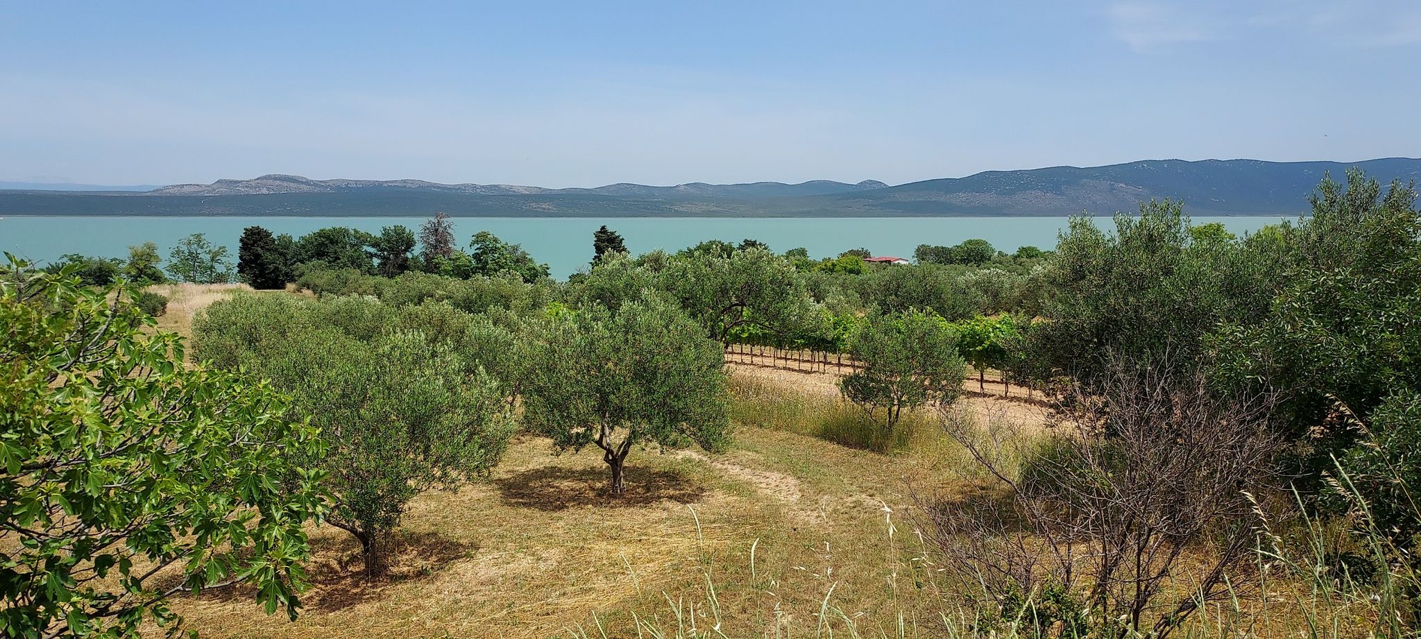 Vrana See