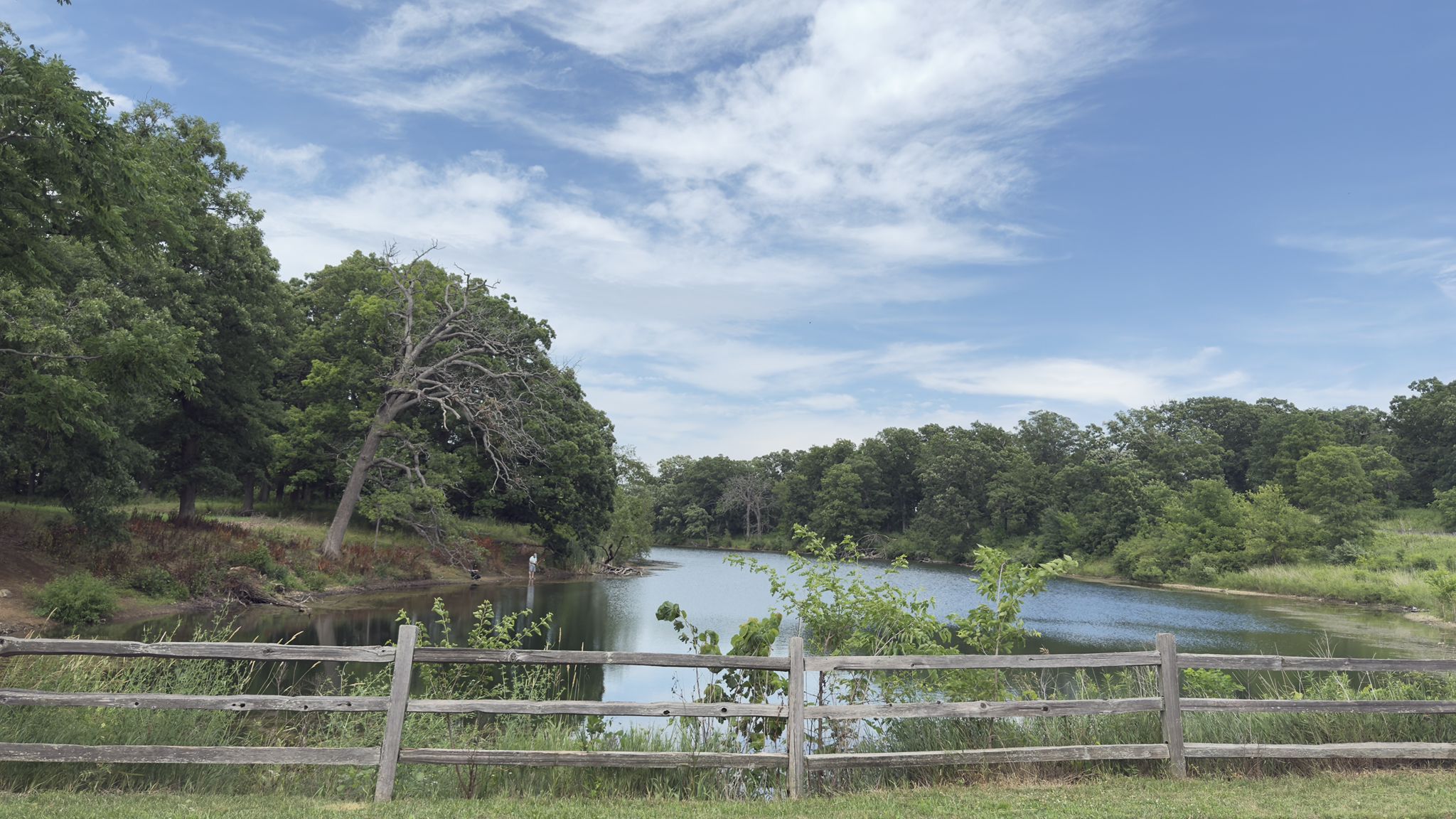 A serene lake behind a rustic wooden fence, surrounded by green trees. - Taylor Lake loop from Lakewood Forest Preserve