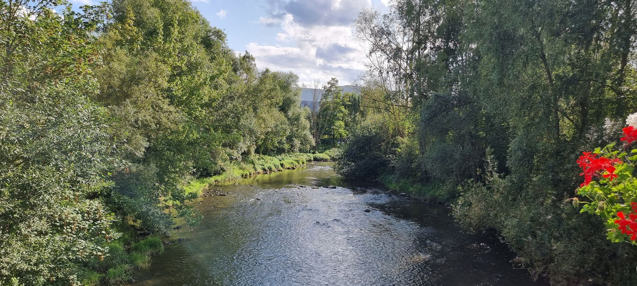 Alzette