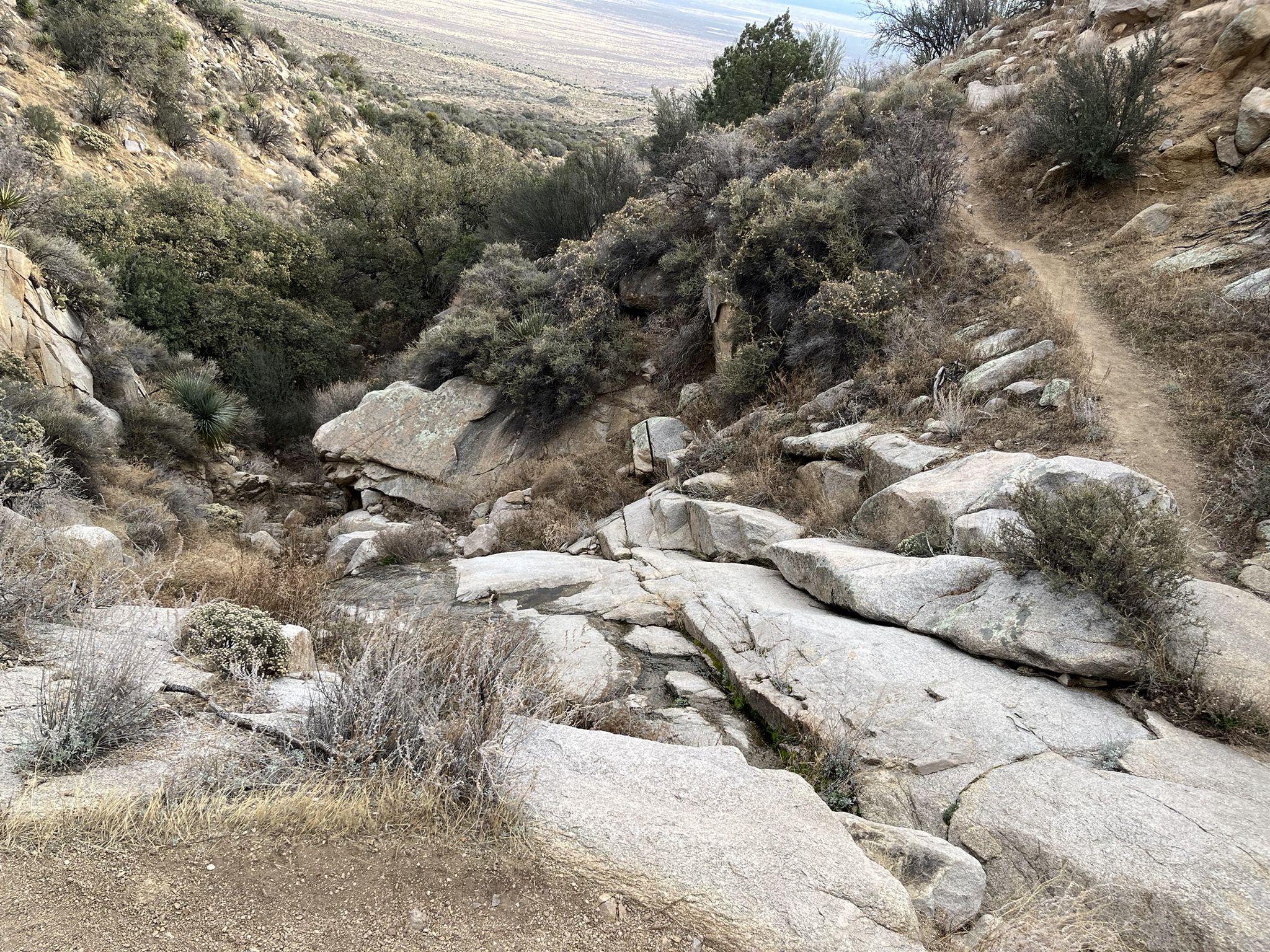 A desert canyon with large rocks, sparse brush, and a narrow dirt path. - Baylor Canyon Pass Trail