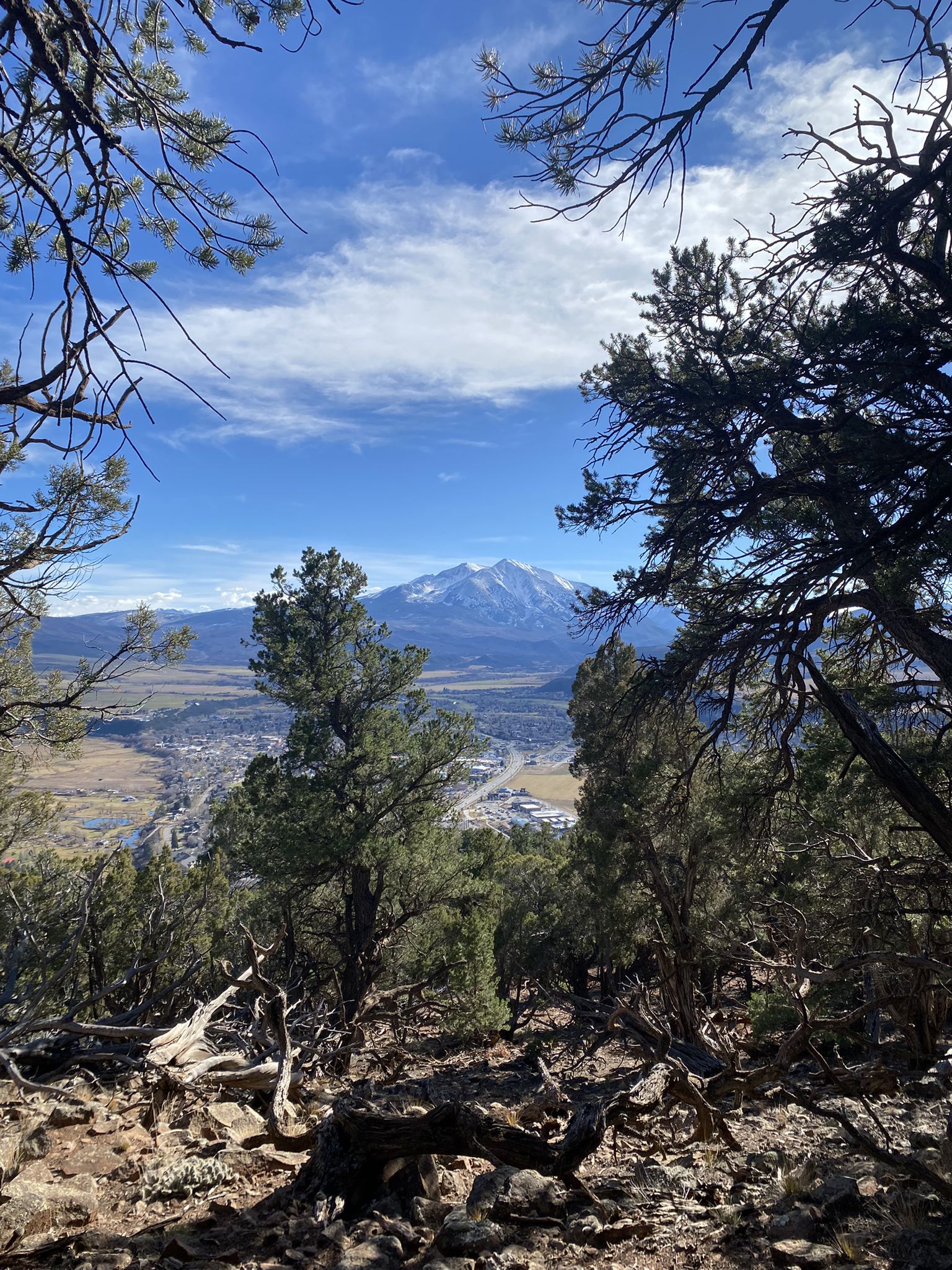 Snow-capped mountain overlooks a valley town, framed by sunlit pine trees. - Mushroom Rock loop