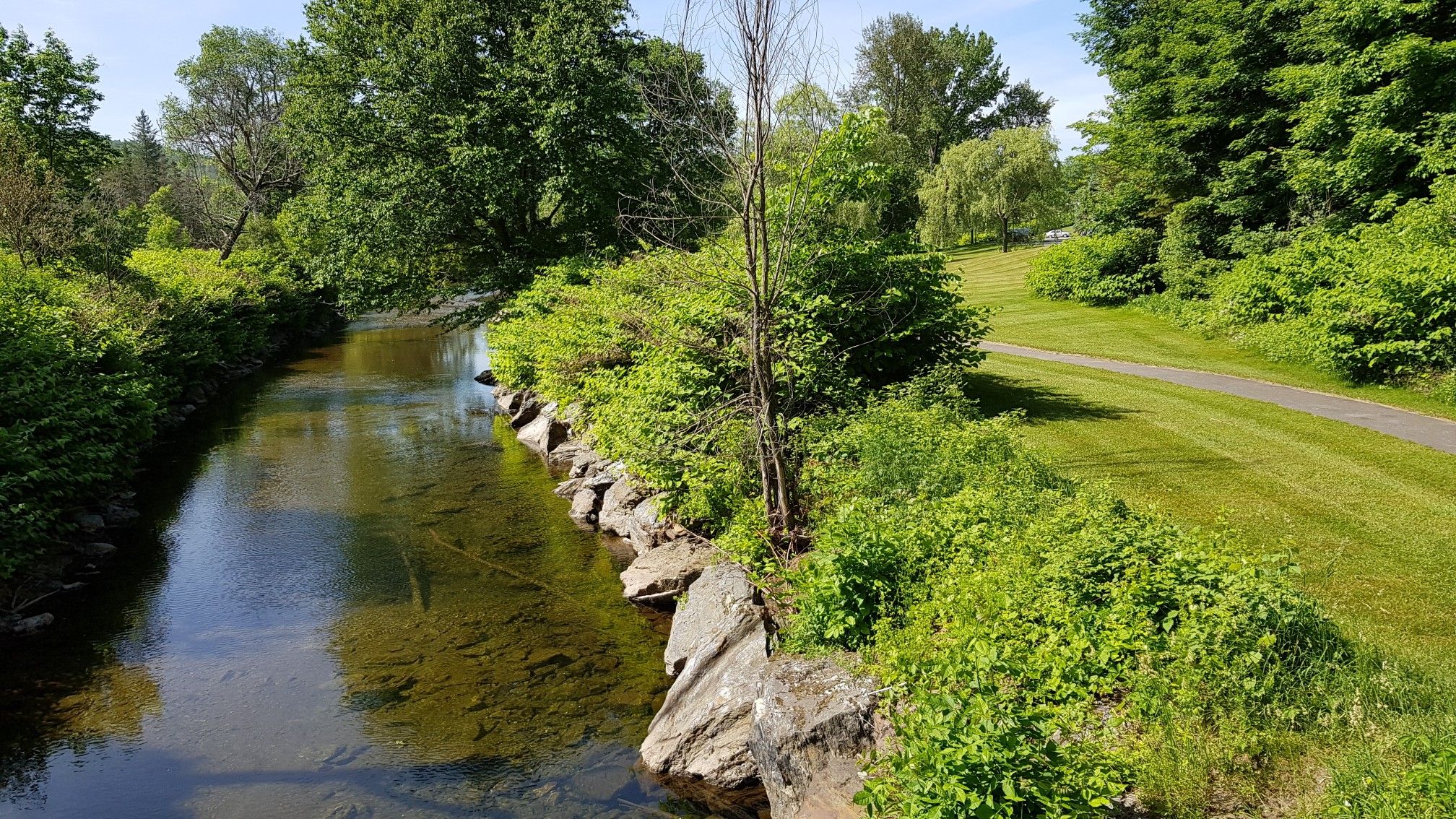 Clear river flows beside a paved path and lush green trees. - Gold Brook Covered Bridge – Barnes Hill loop from Trapp Family Lodge