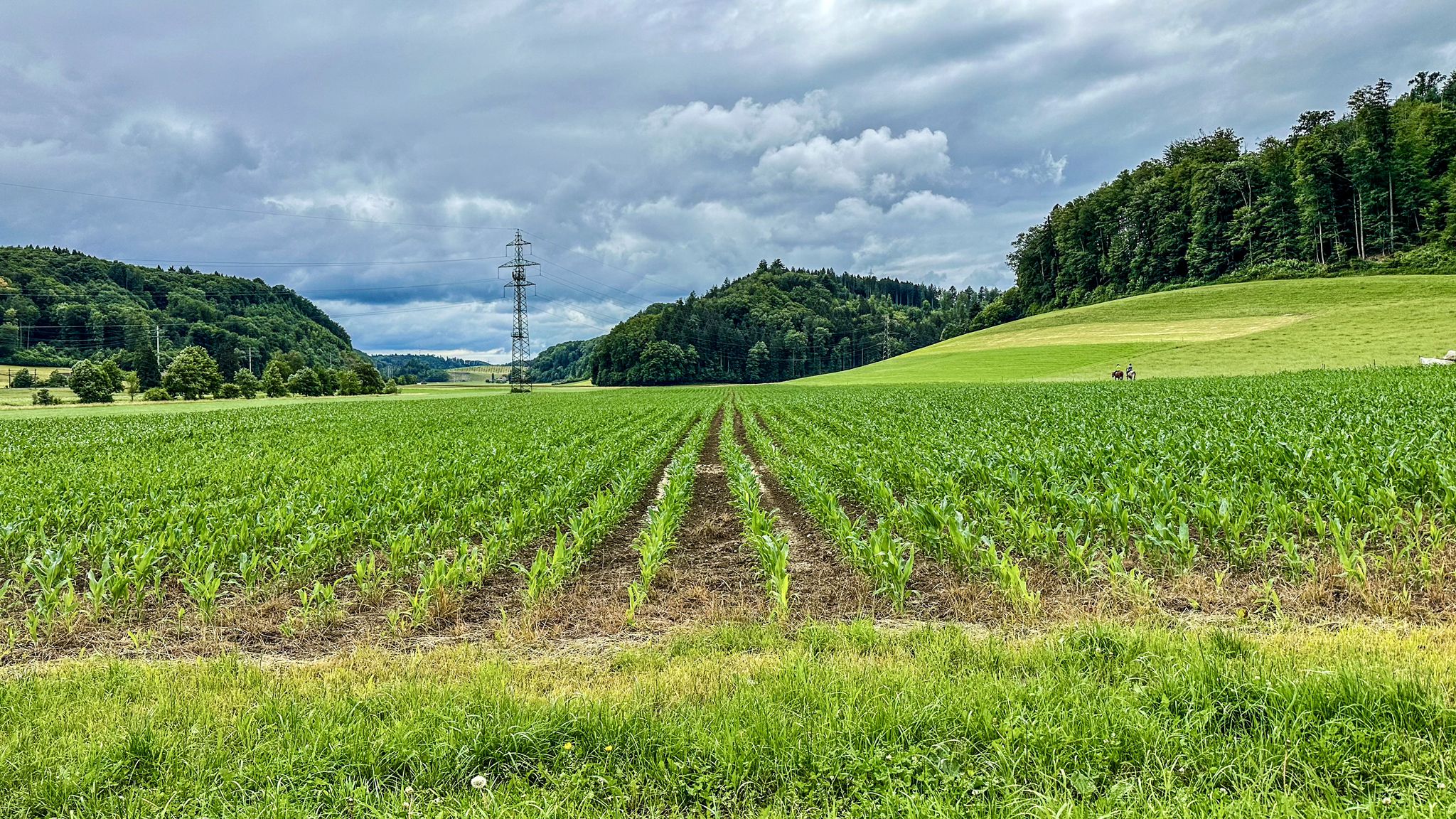 ...kleiner Rückblick nach Wynigen...