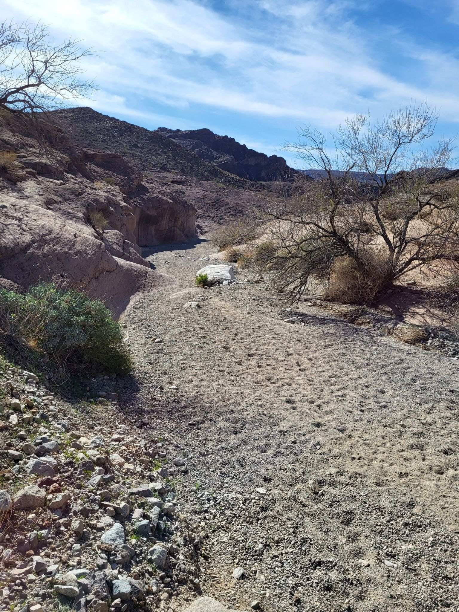 Dry desert wash with sparse vegetation and rocky mountains under a cloudy sky. - White Rock Canyon Trail