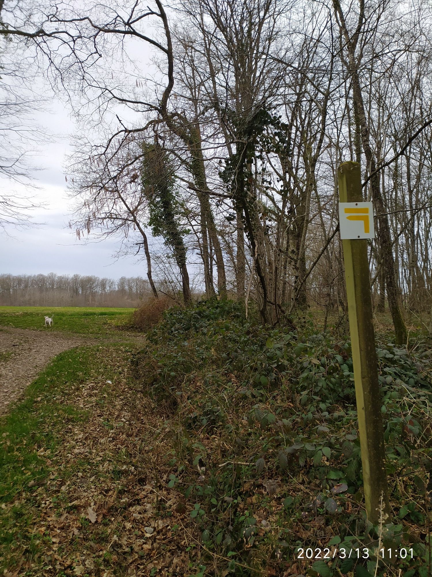 Useful waymarkers