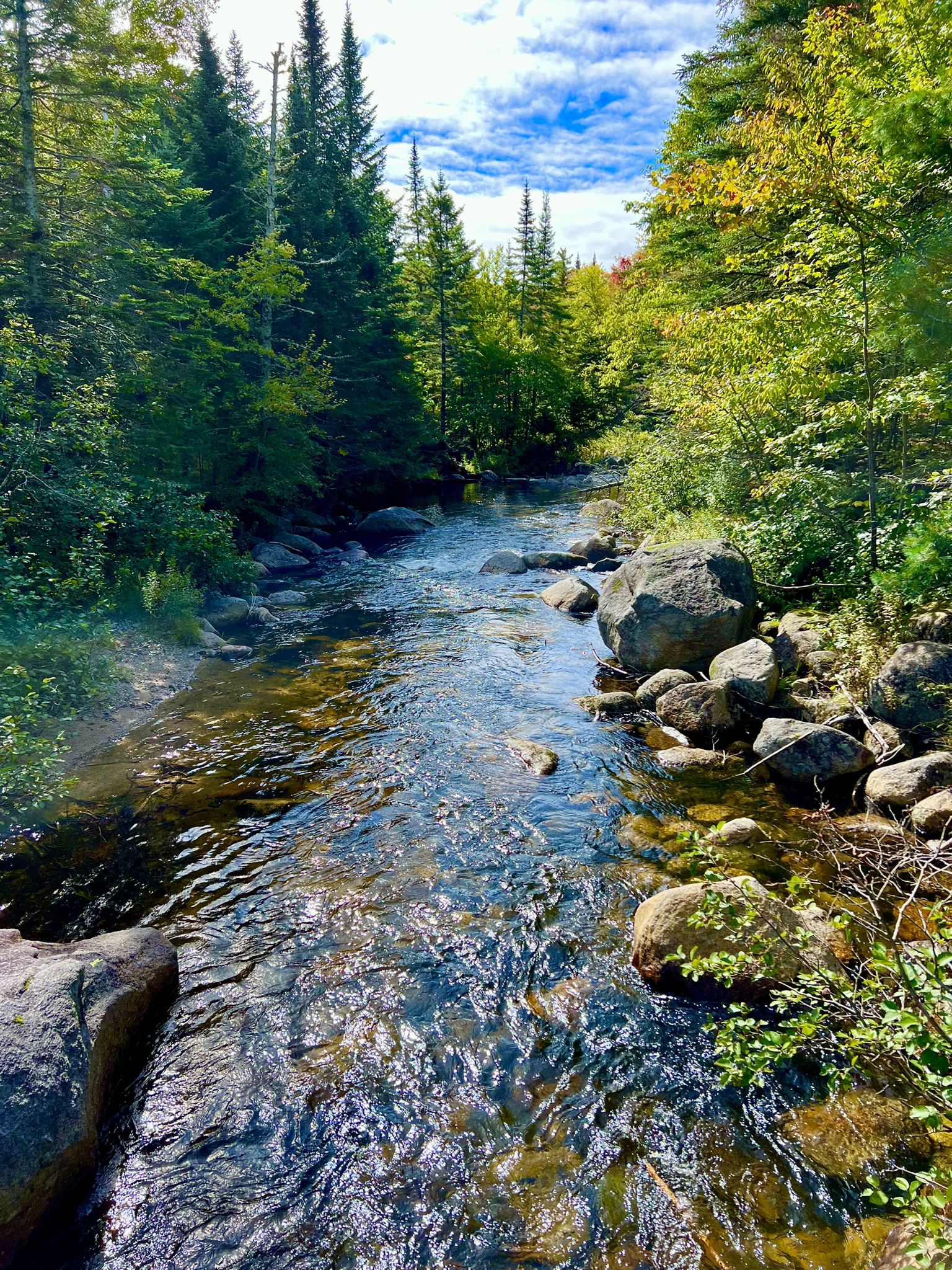 Clear, rocky stream flowing through a vibrant green and autumn-colored forest. - Katahdin Lake and Martin Ponds Trail