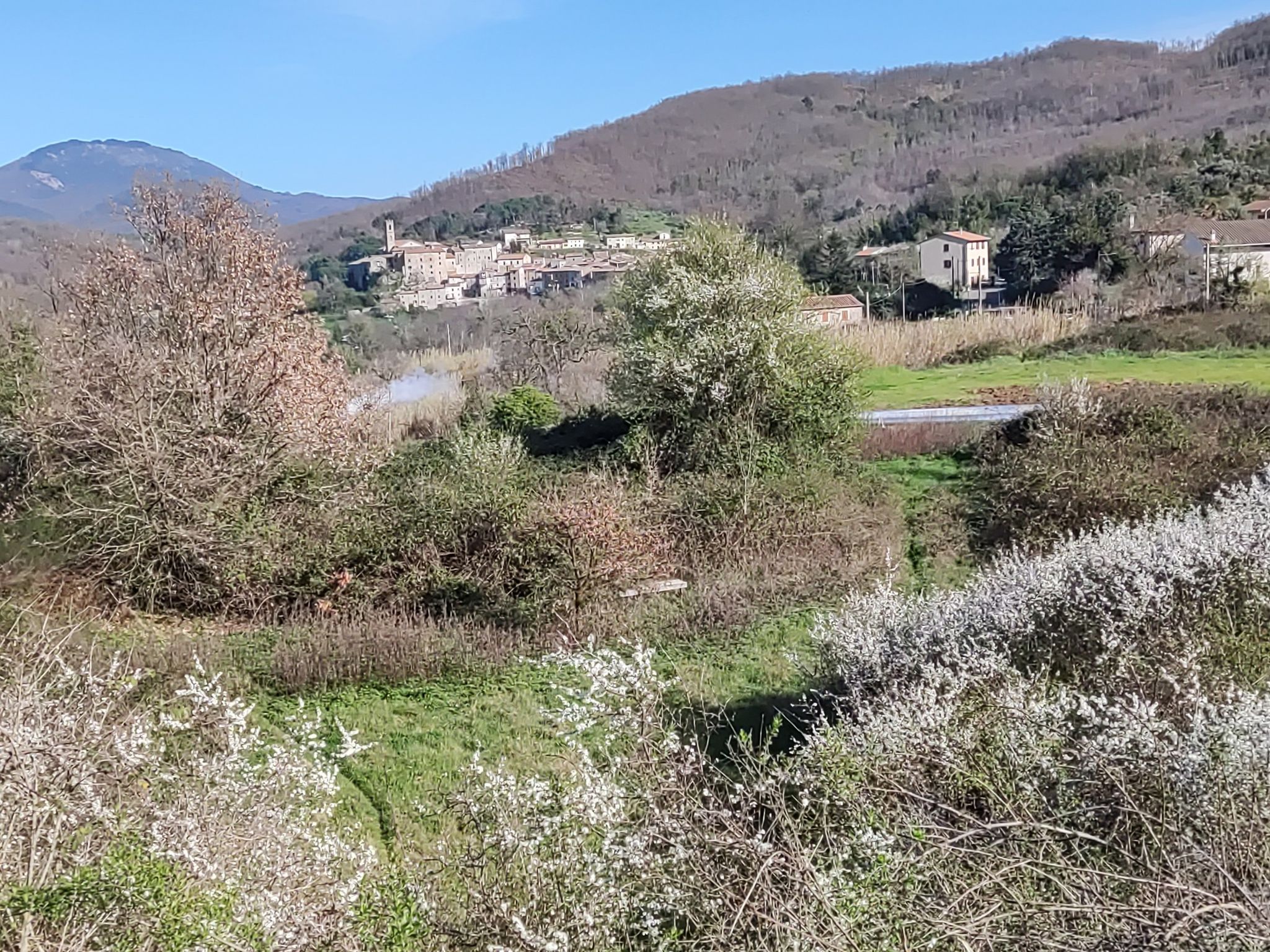 Sasso Pisano