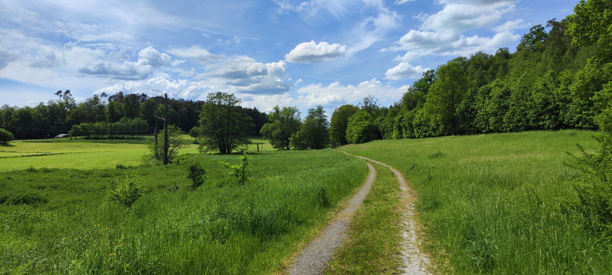 An der Bibert entlang