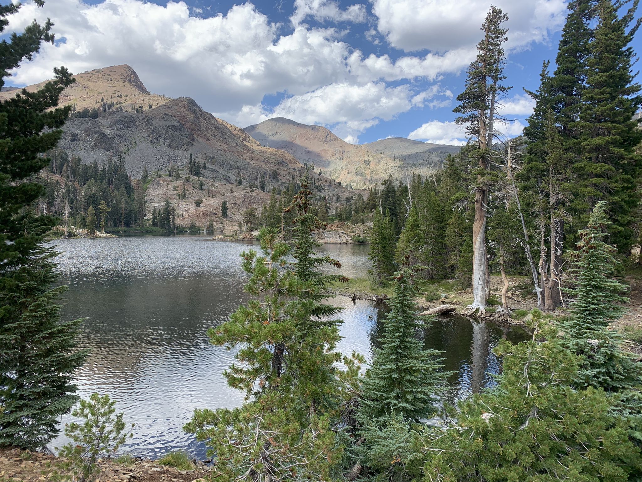 Calm lake surrounded by pine trees and rugged mountains under a cloudy sky. - Glen Alpine Trail