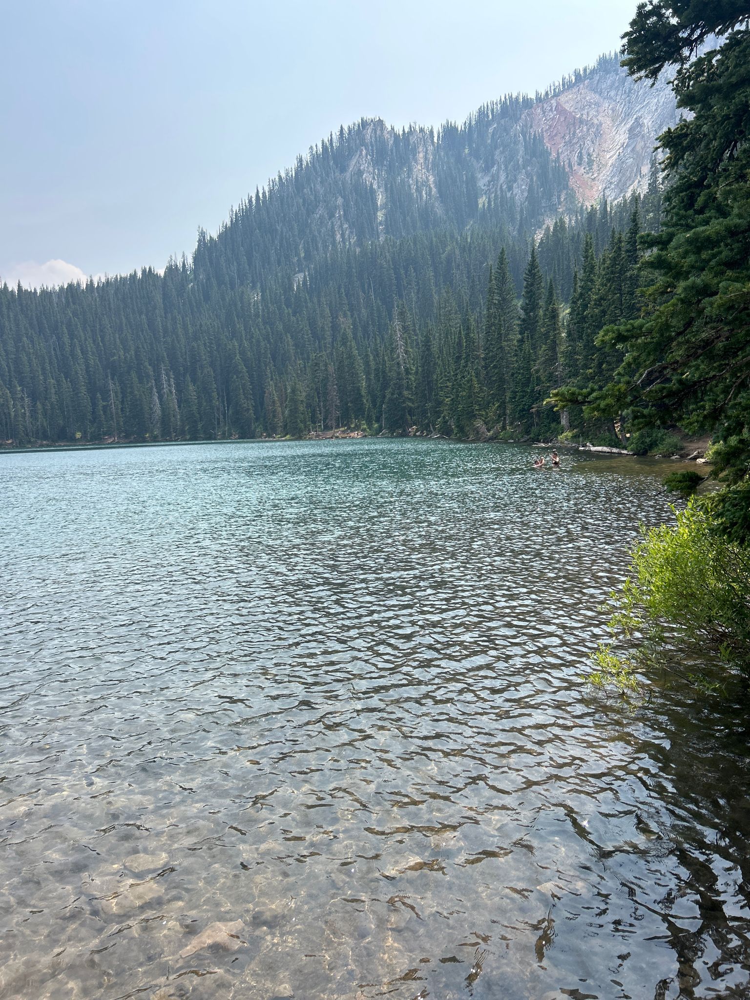 Clear lake with rippling water, surrounded by dense pine forests and mountains. - Fairy Lake Access Trail