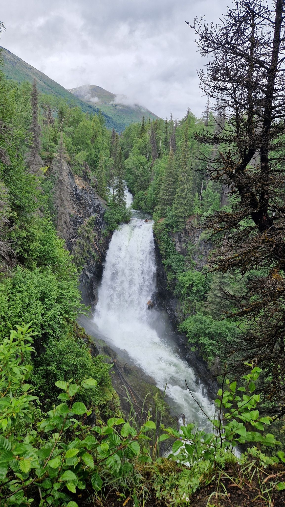 Waterfall plunges through a vibrant green forest with distant mountains. - Juneau Falls via Bean Creek and Resurrection Pass Trail