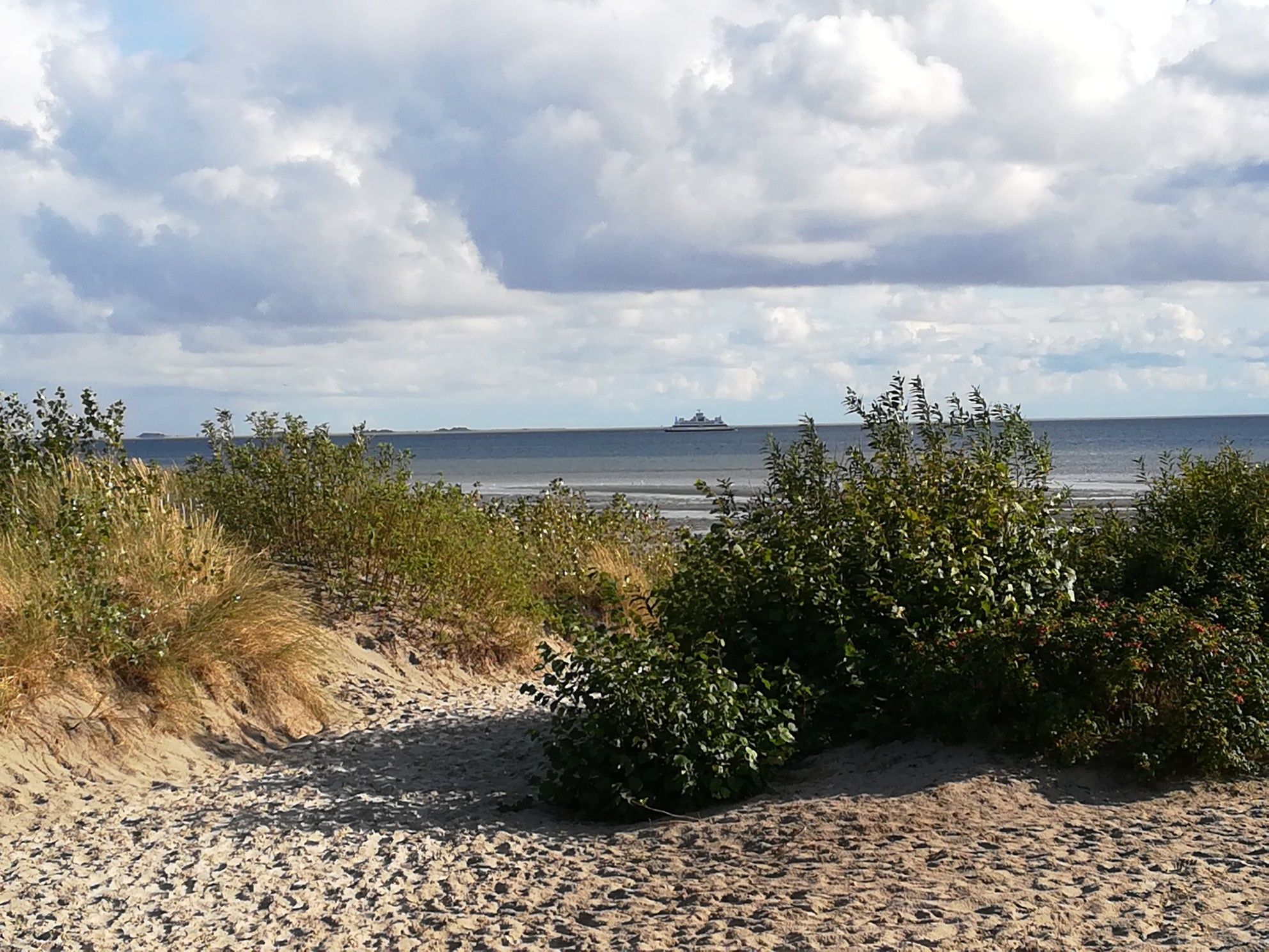 Blick zum Wattenmeer 