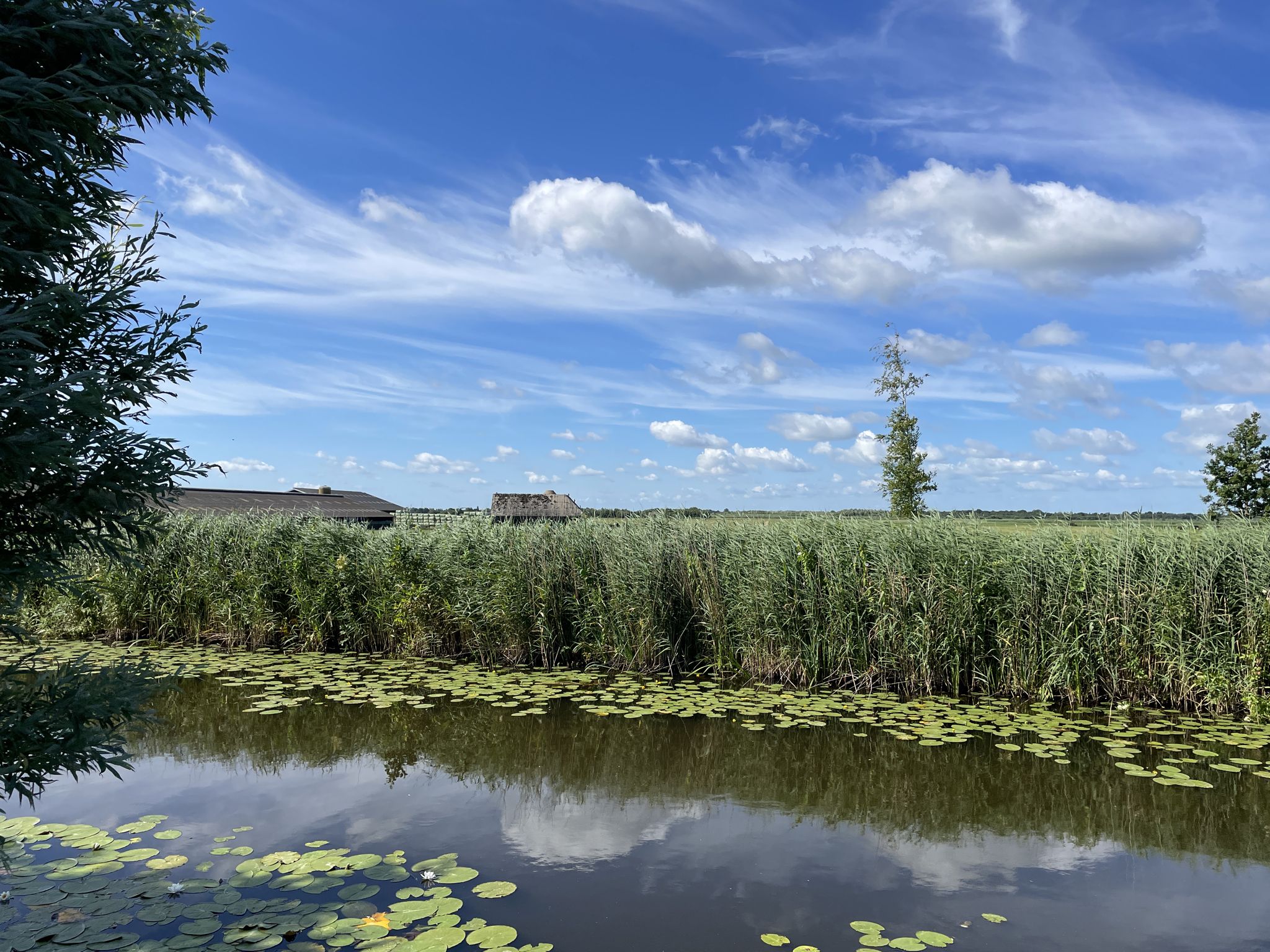 Nardermeer