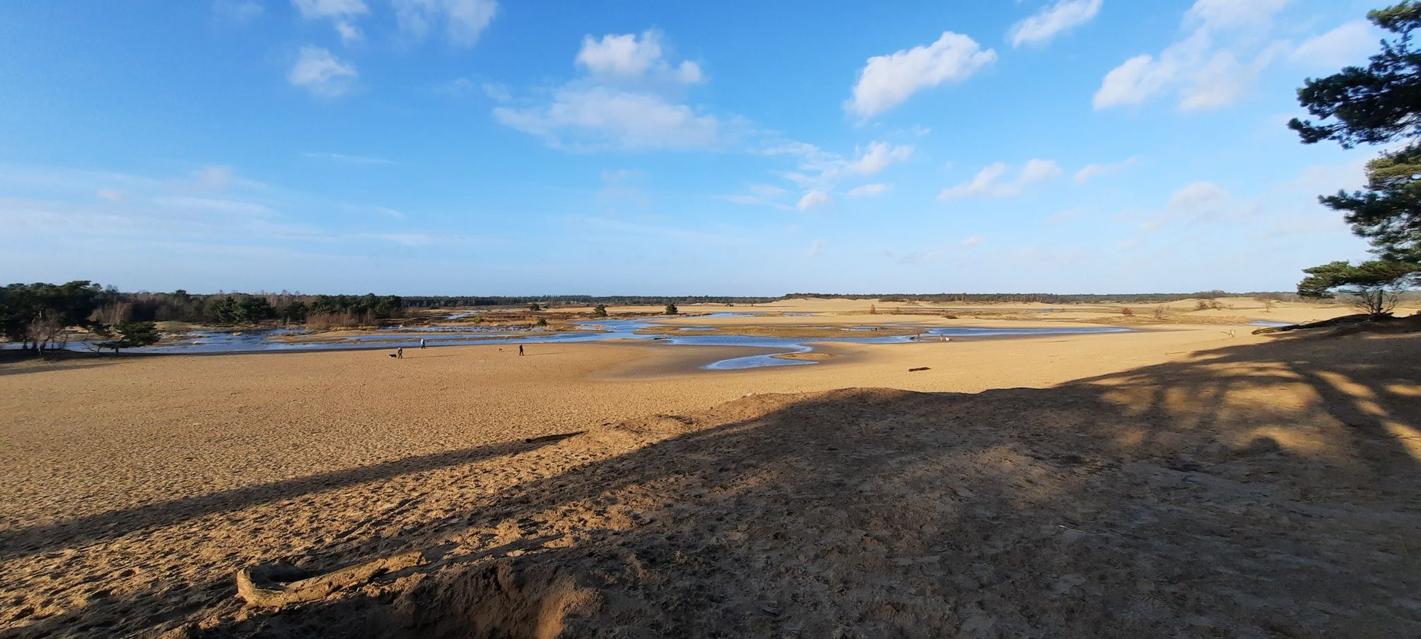 Uitzicht op de duinen