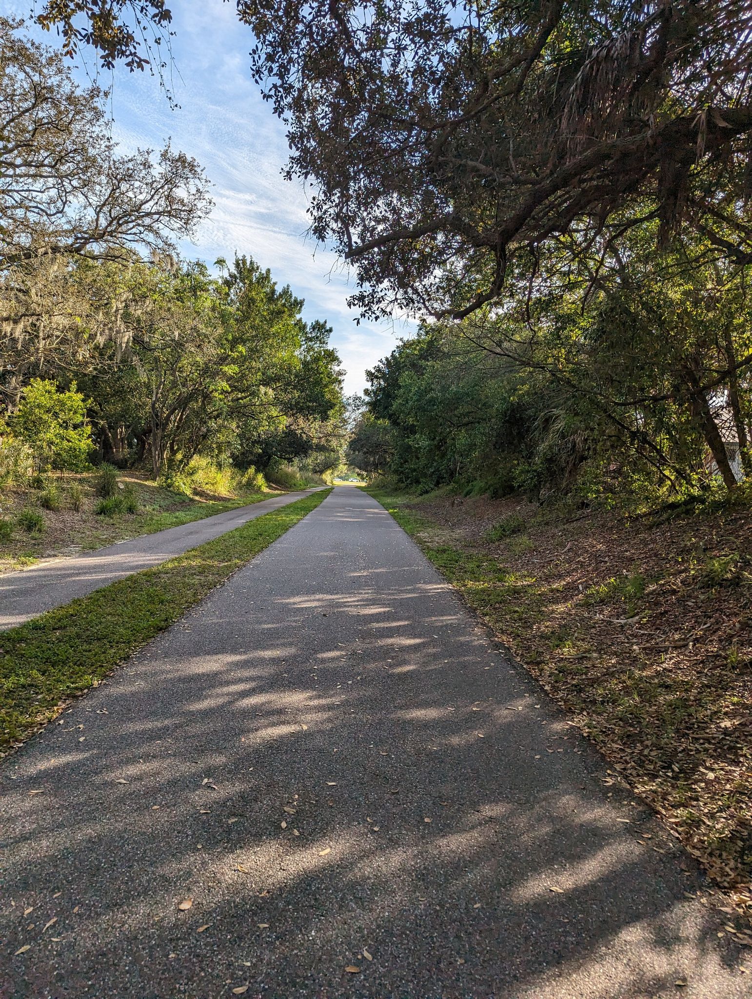 A long paved path winding through dense green trees with dappled sunlight. - Old Ozona Station loop from Tarpon Springs