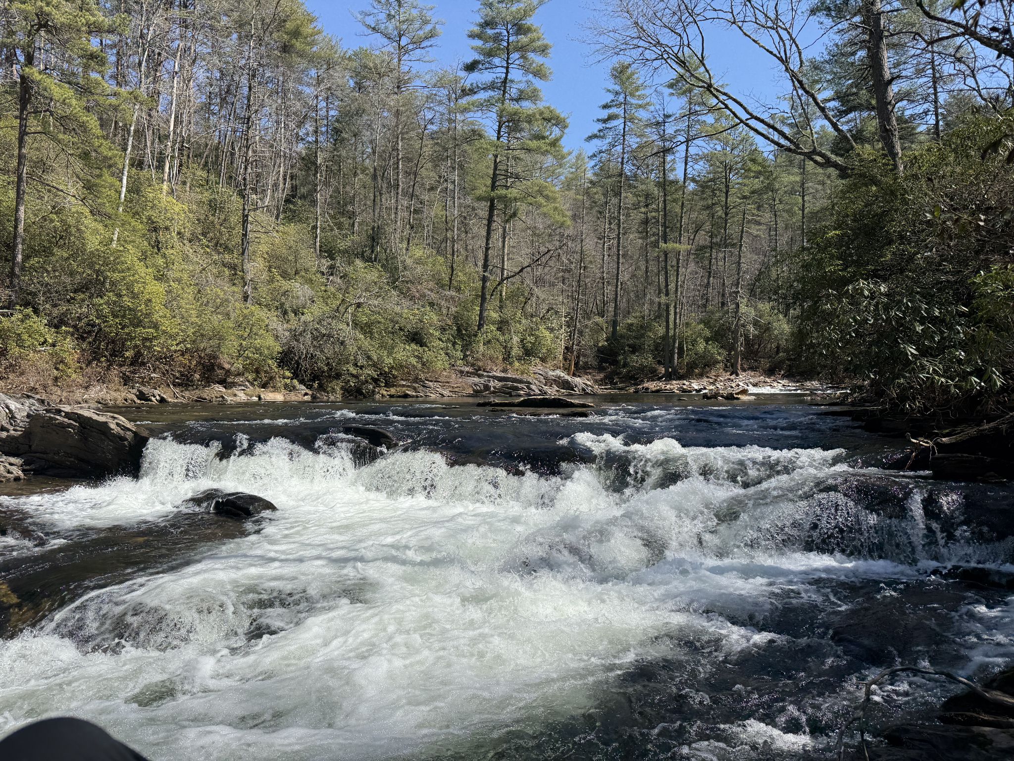 Rushing white water rapids in a wide river surrounded by tall trees. - Big Bend Falls and Round Top Loop