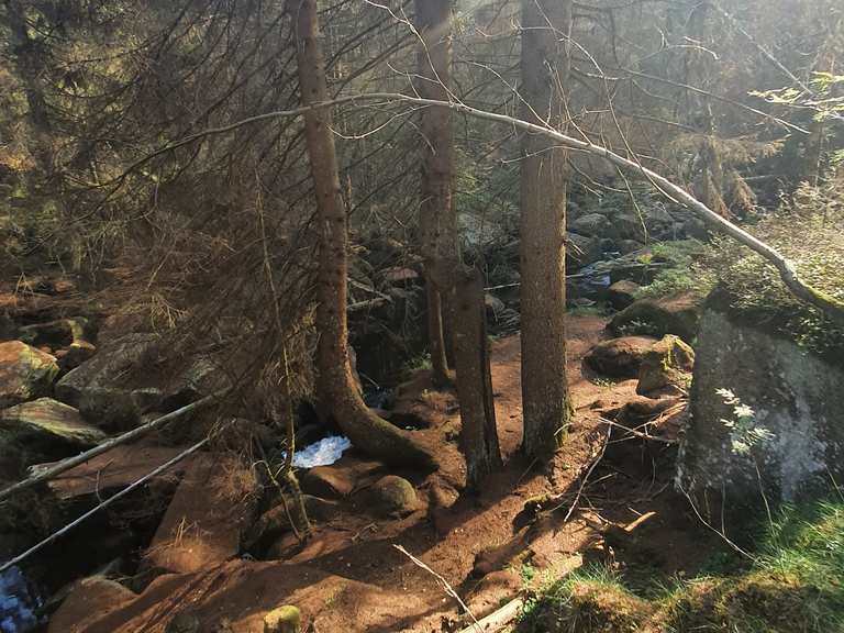 Harz: Ecker Mit Stausee & Ddr-brd-grenze, Scharfenstein 