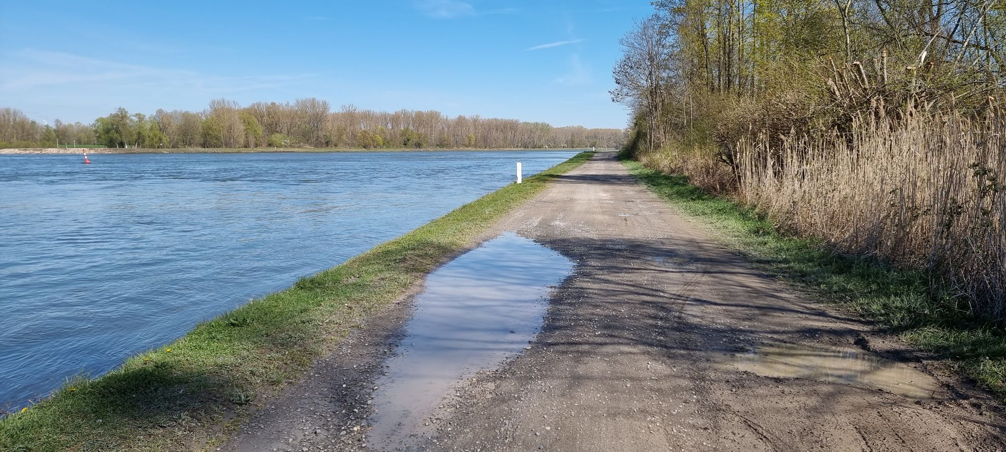 Rhein