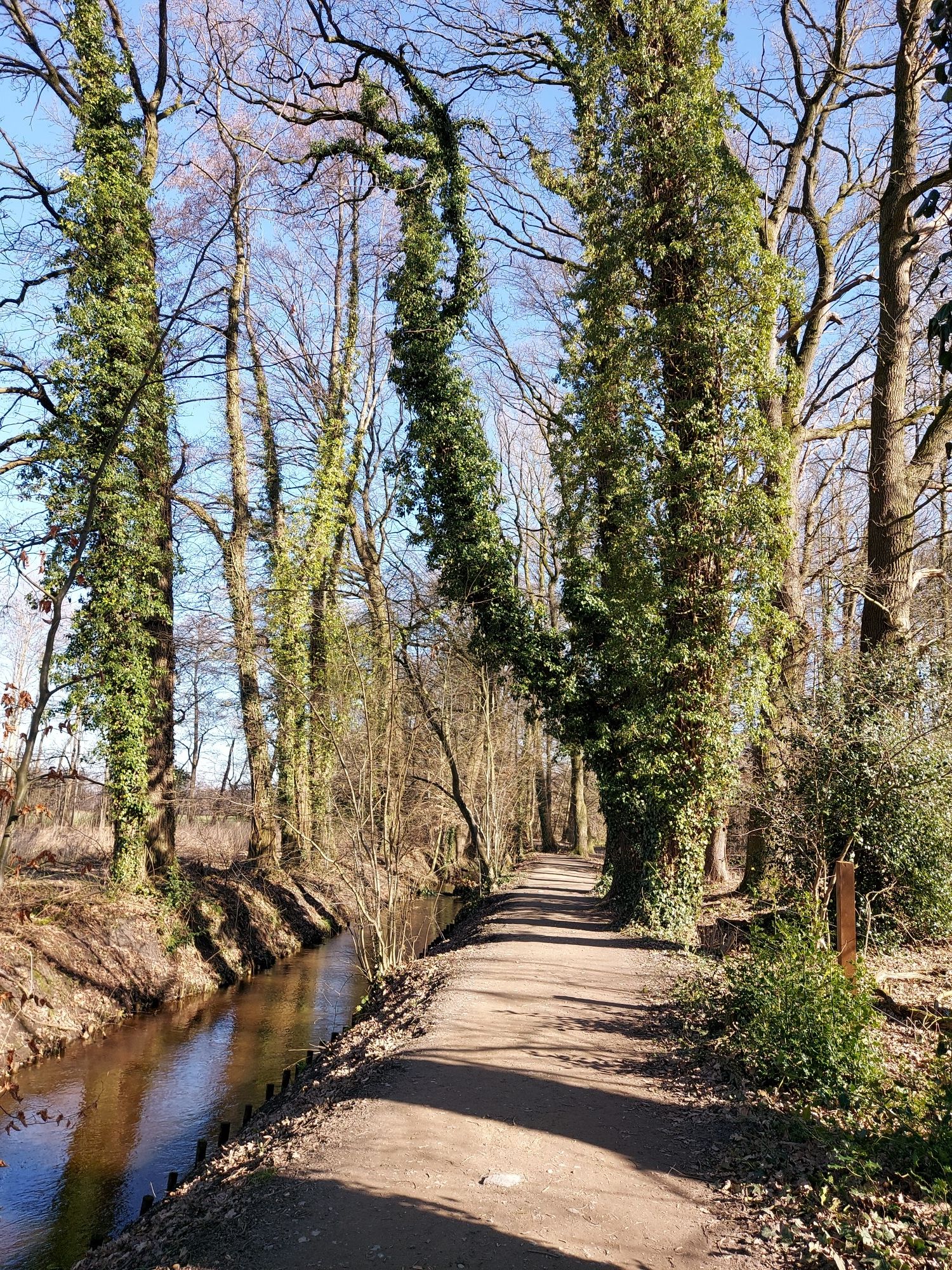 Die Natur erwacht