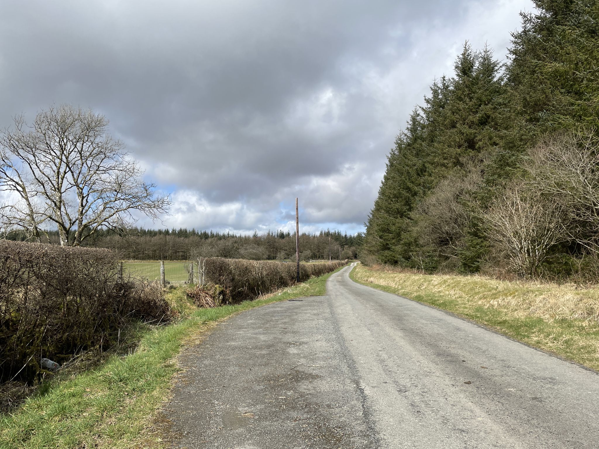 A large section of the walk is walking down the road but the views are great across the valley and forest 