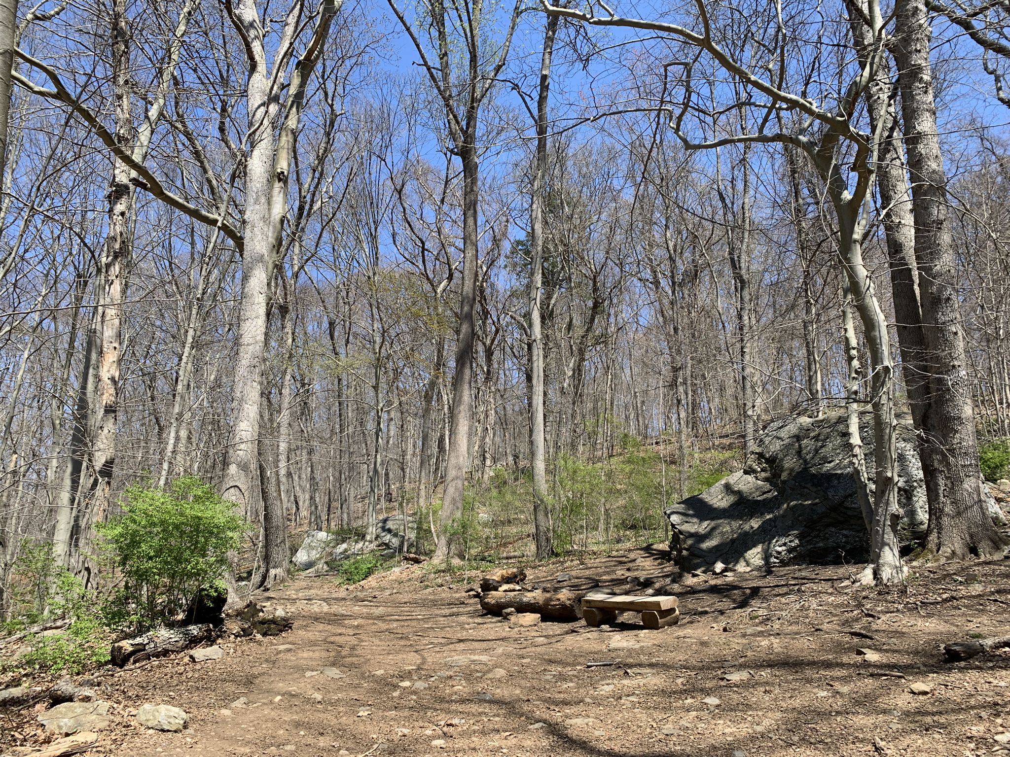 Sunny forest clearing with large rocks and a simple wooden bench. - Lake Mohegan Loop