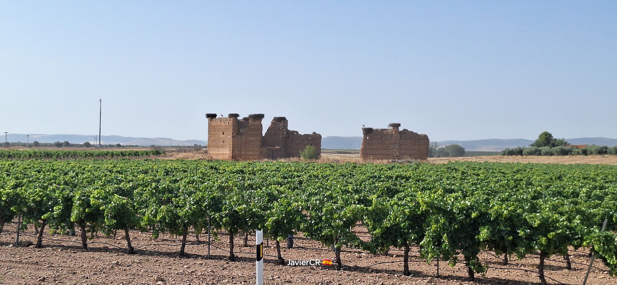 Ruinas de la Iglesia de la Virgen de la Caridad