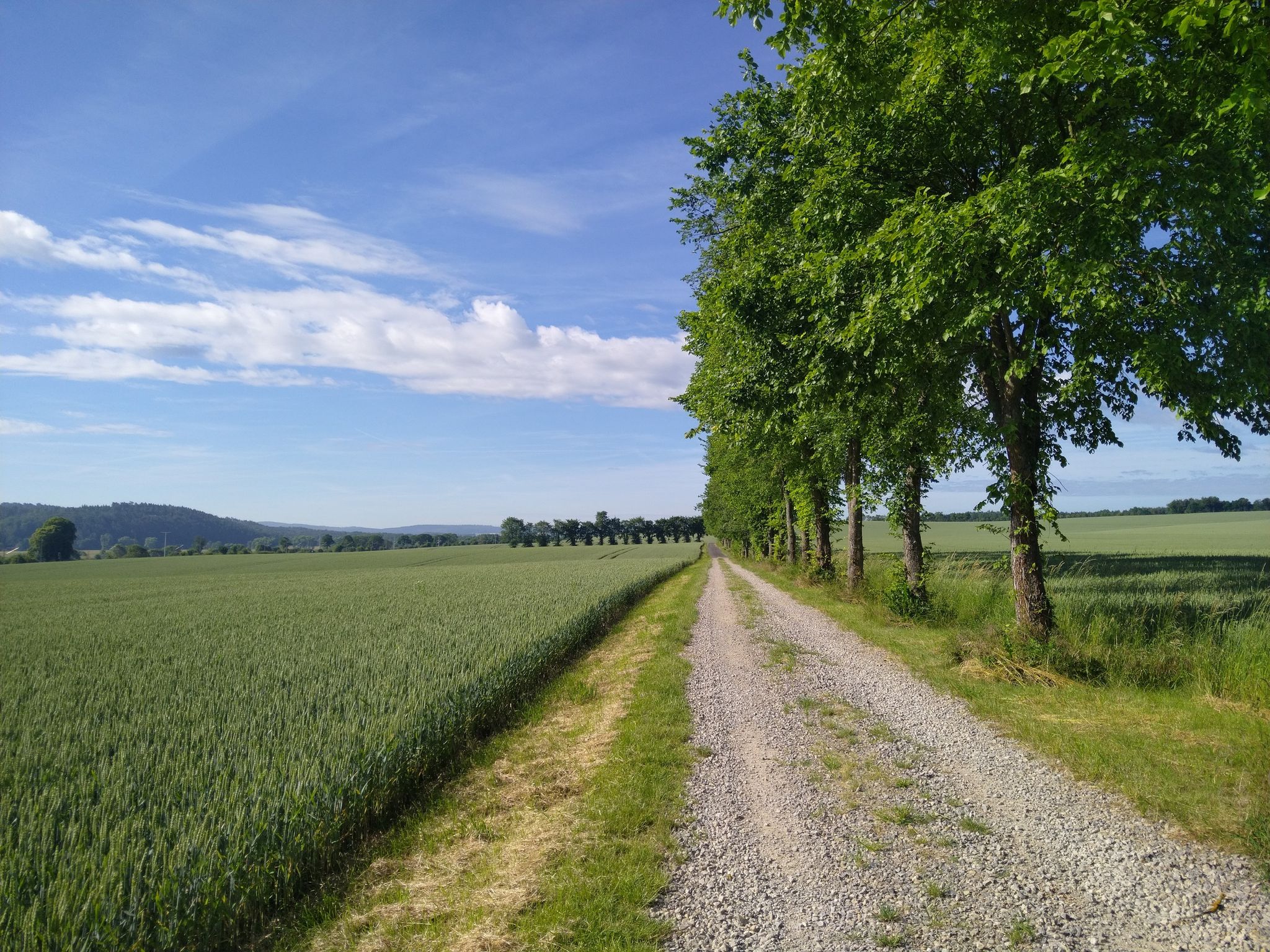 Strecke zwischen Neustädt und Gerstungen durch die Felder