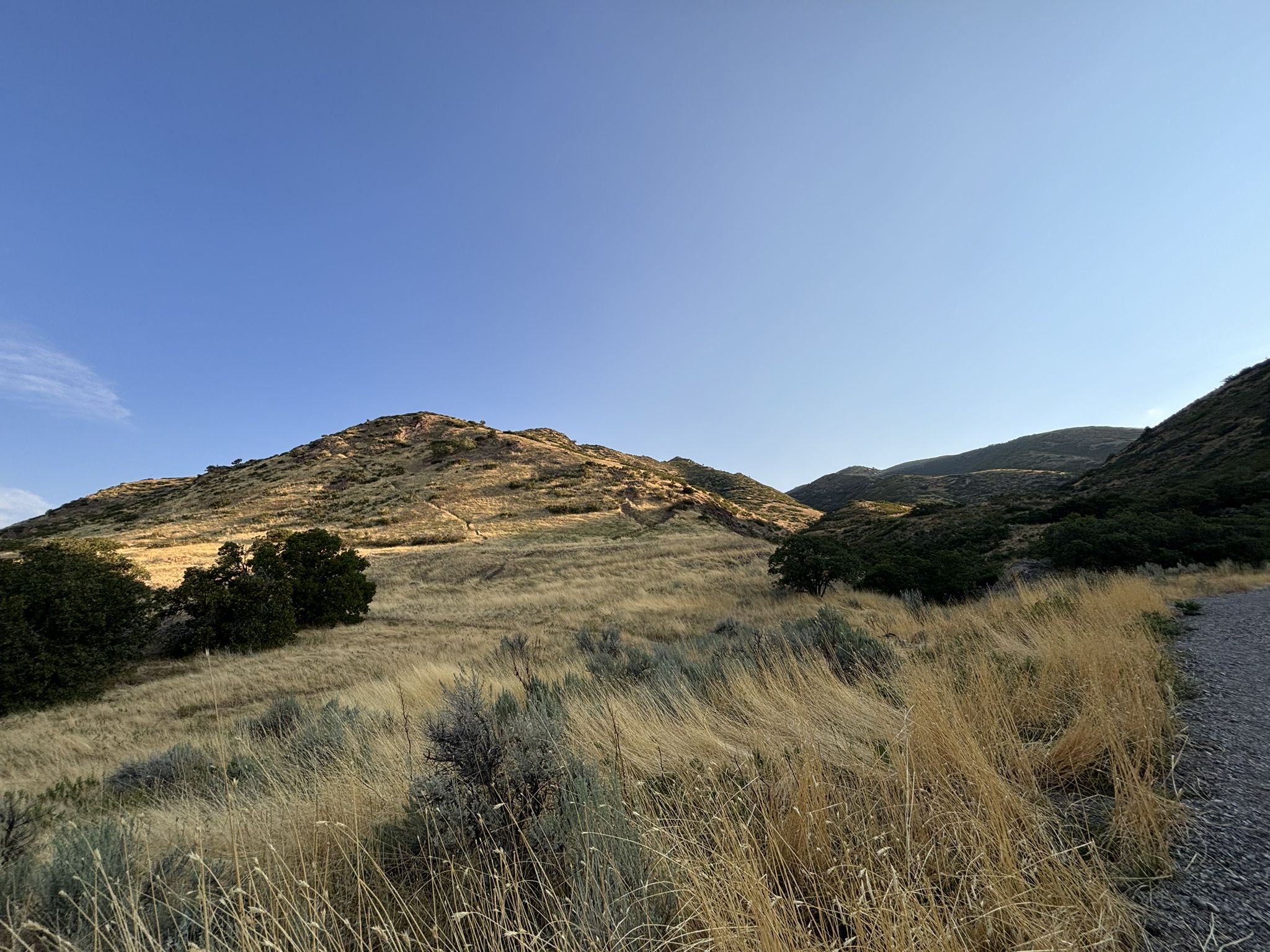 Golden hour light illuminates grassy hills and shrubs under a clear blue sky. - Emigration Canyon Viewpoint loop from University of Utah