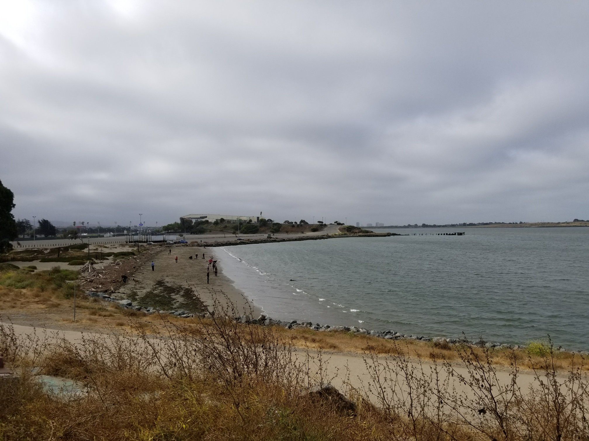 People on a sandy beach next to the water under a cloudy sky. - Albany Waterfront Trail