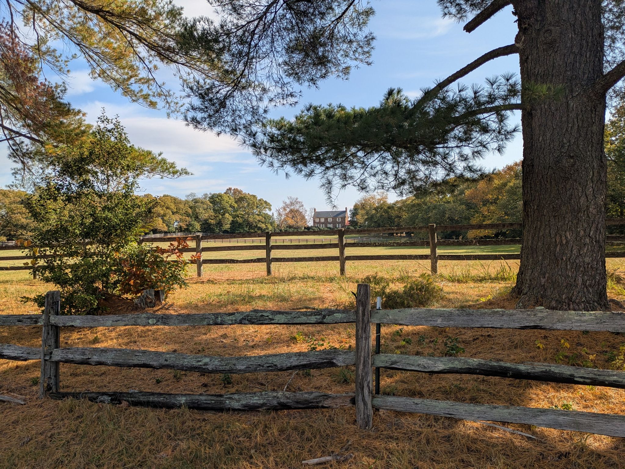 Wooden fence in a sunny field with a large tree and distant house. - War House Museum – Main Street Remington loop from Remington