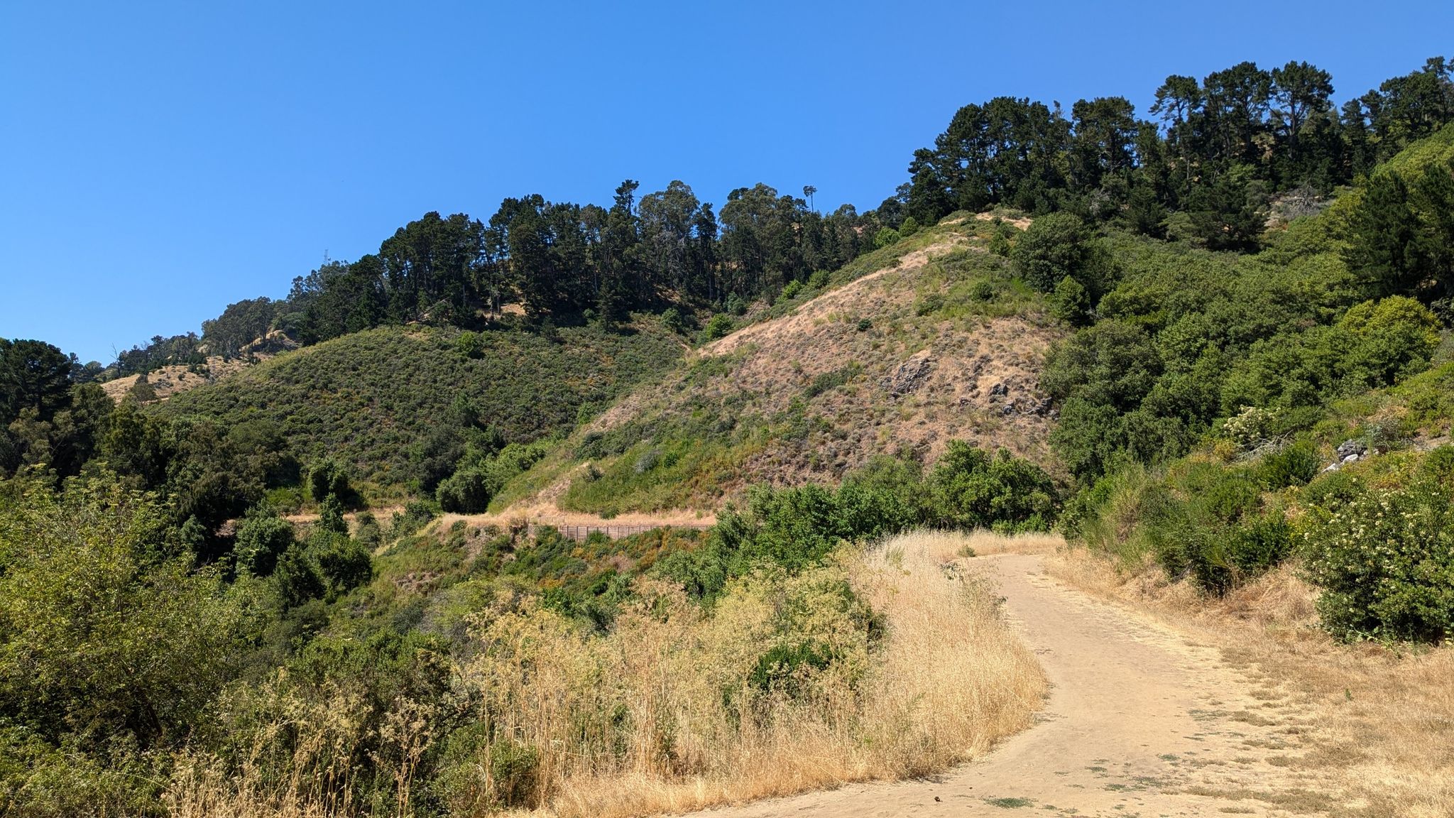 Sunny dirt trail winding up a dry, brushy hillside with green trees. - Convict, Upper Jordan, and Side Hill Trail Loop