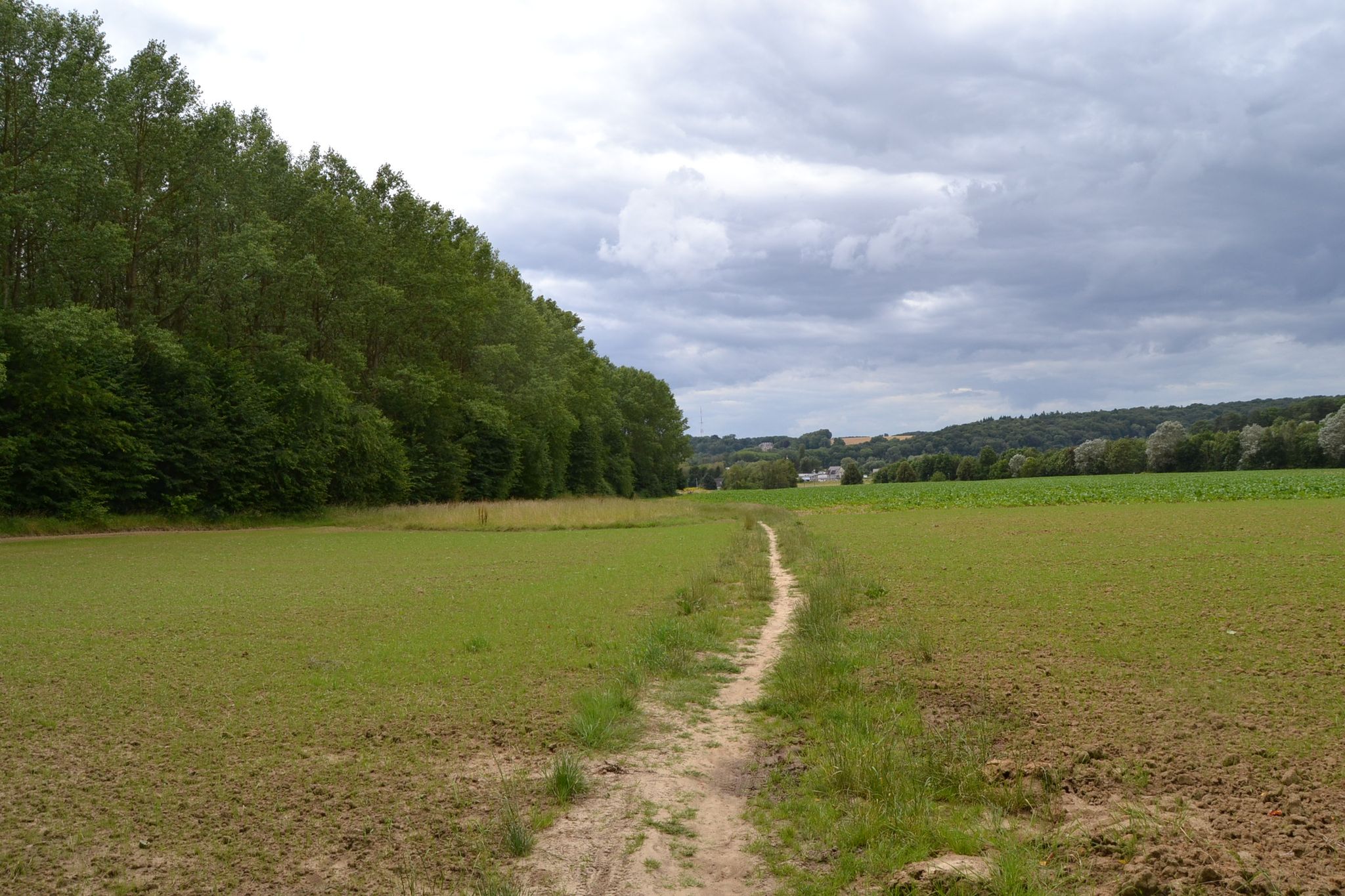 uitzicht