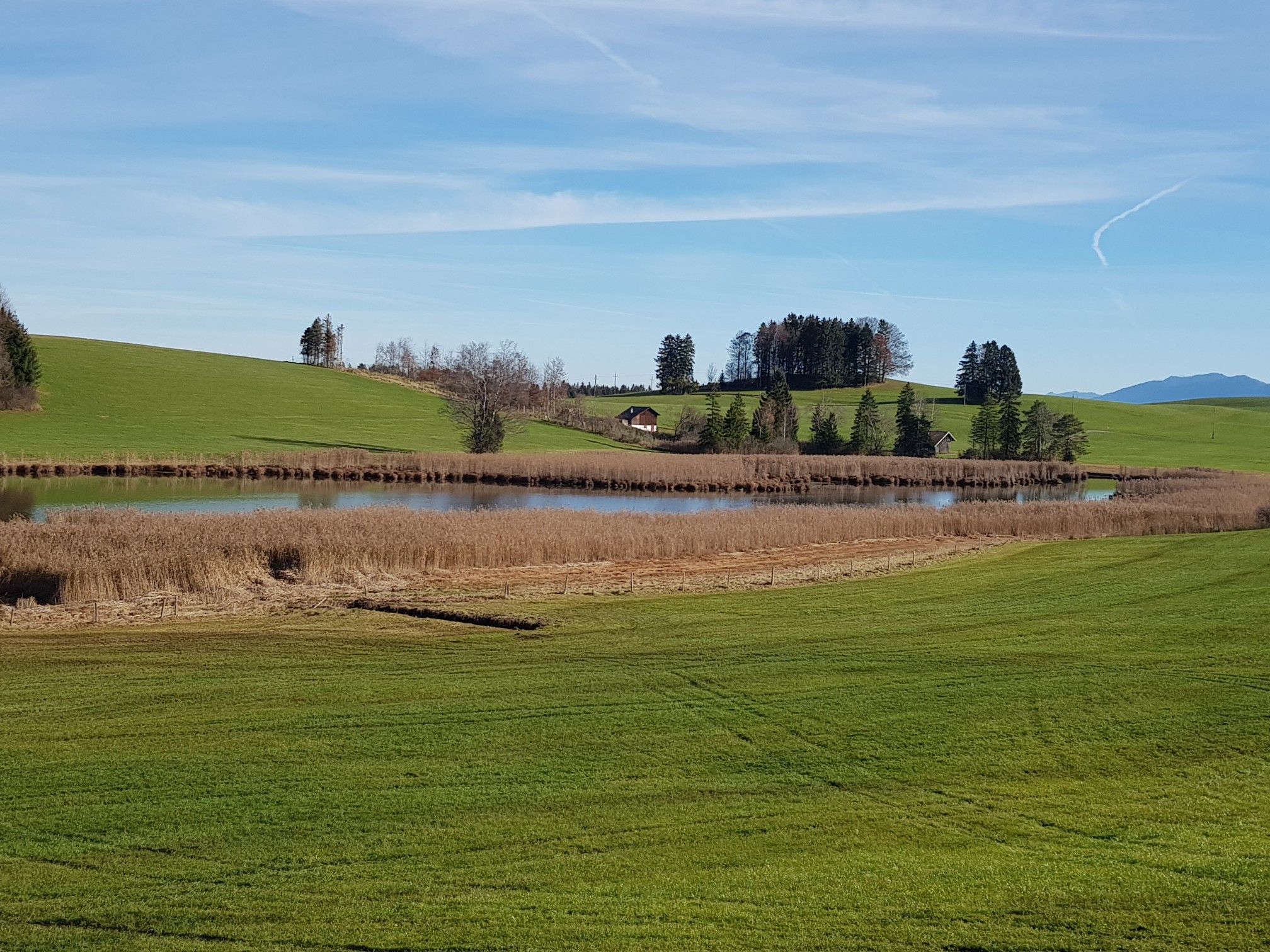 Grundweiher
