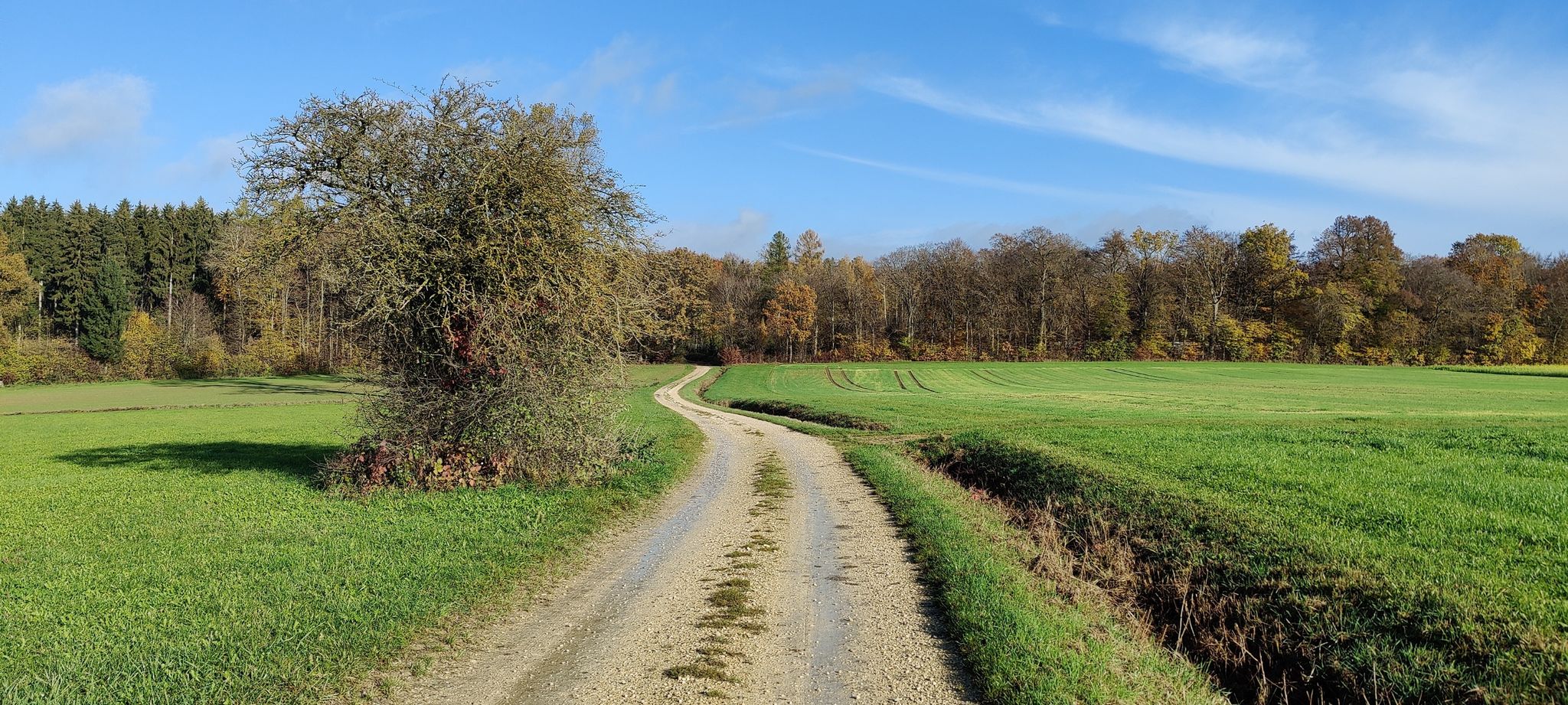 schottrig schlängelt sich der Weg dahin