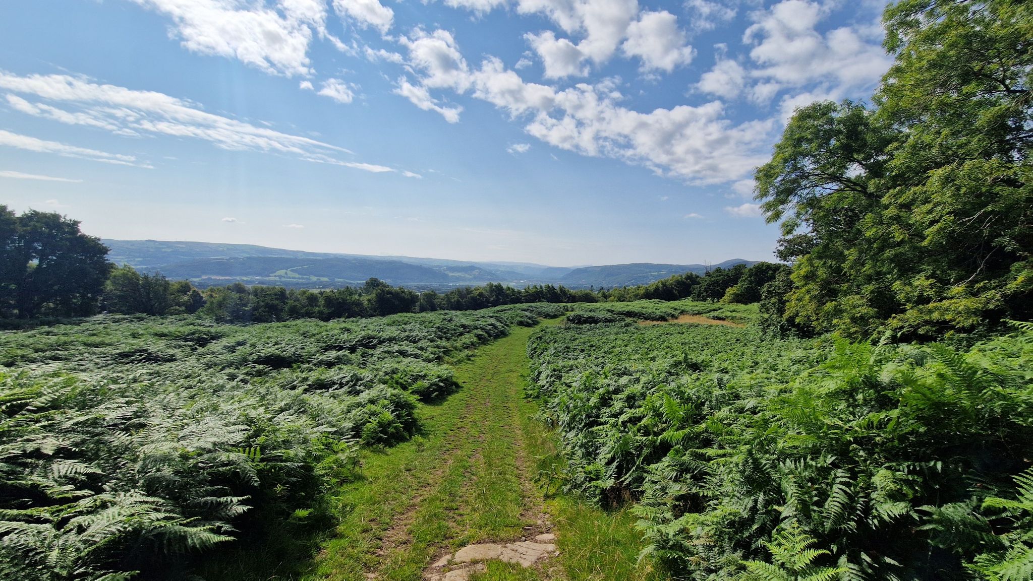 Views of Conwy Valley
