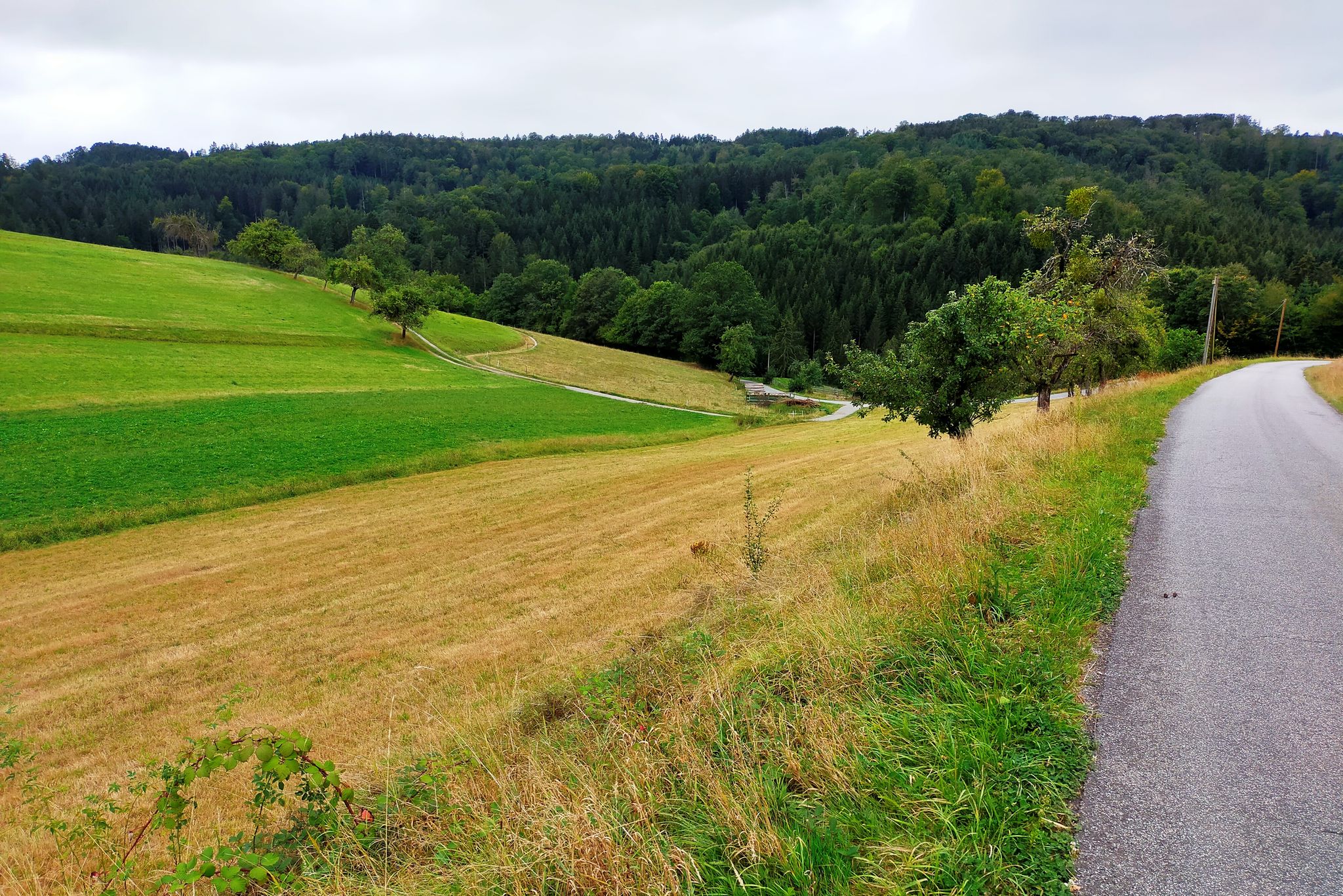 Blick zurück ins Fischbachtal