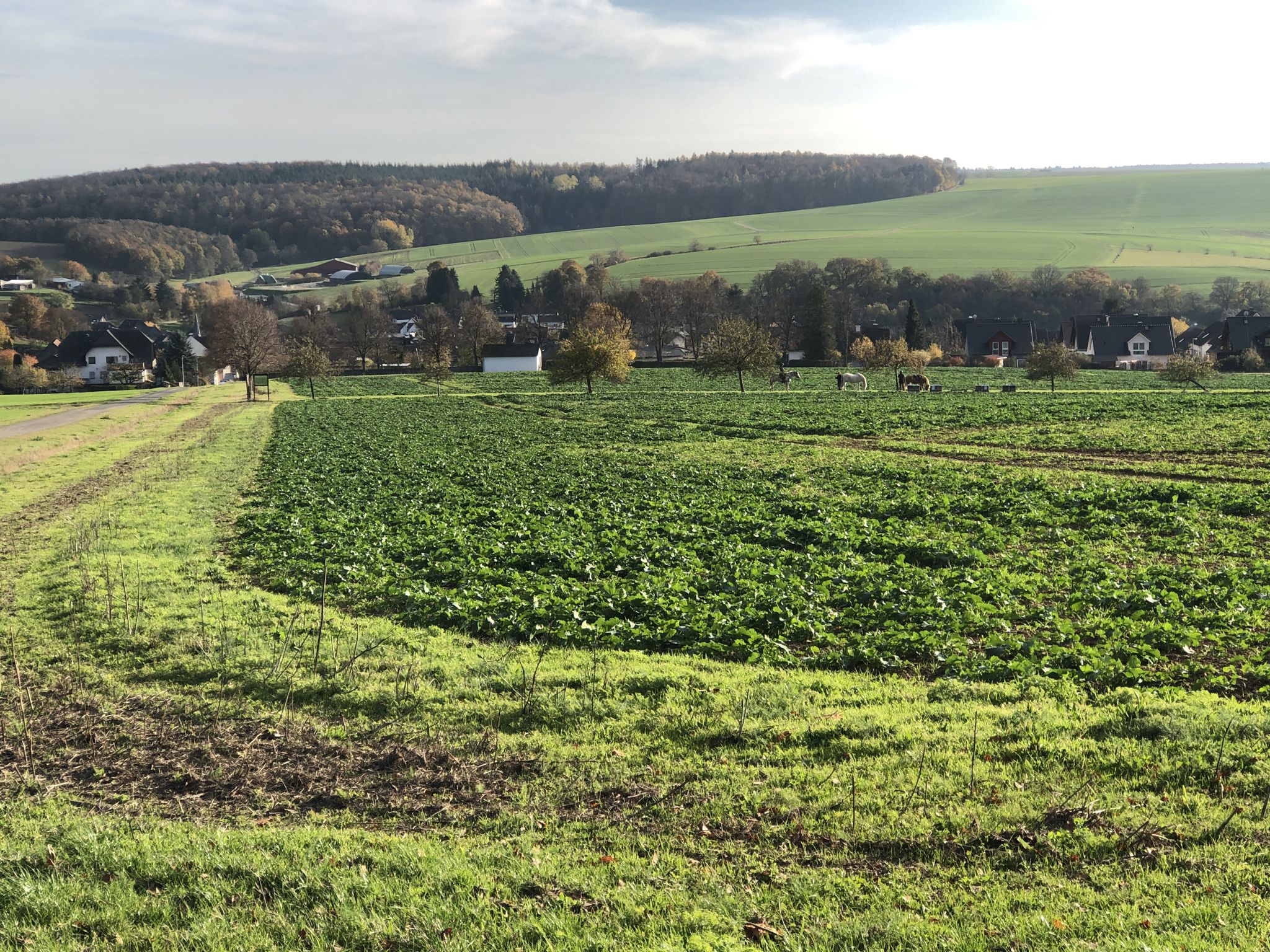 Blick über Ketternschwalbach