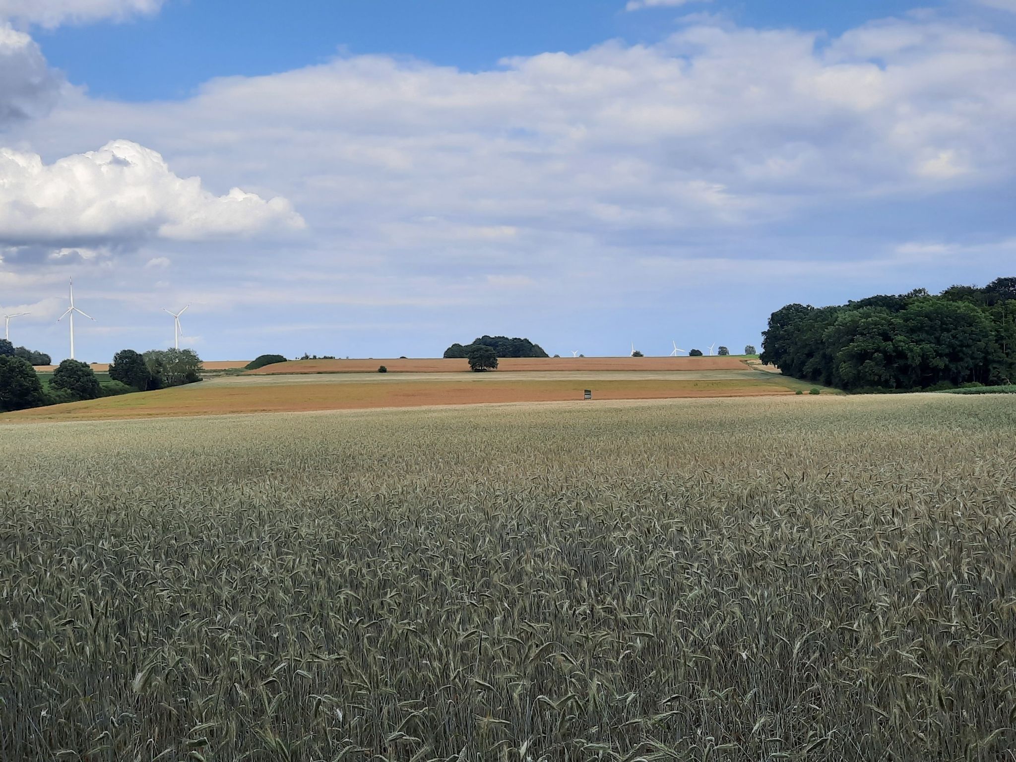 bei Wendhausen