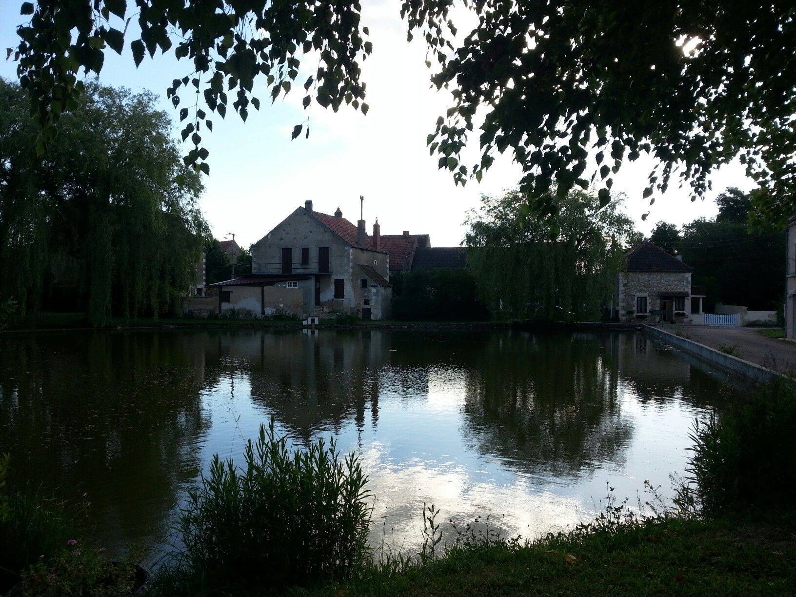 Dorfteich von Fétigny