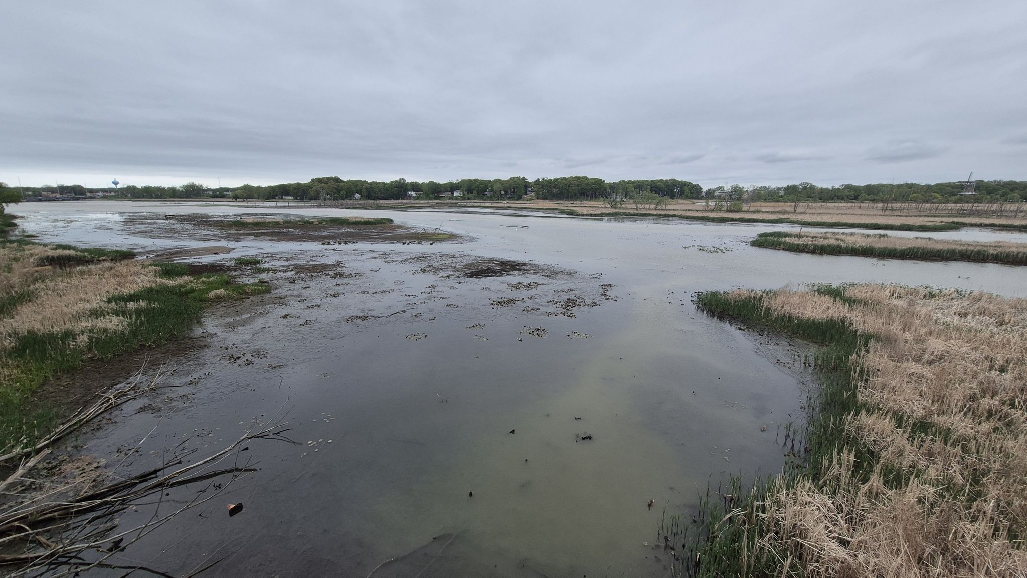 Wide view of a muddy wetland with dry grass under an overcast sky. - Windmill Island – The Swan Windmill loop from Holland