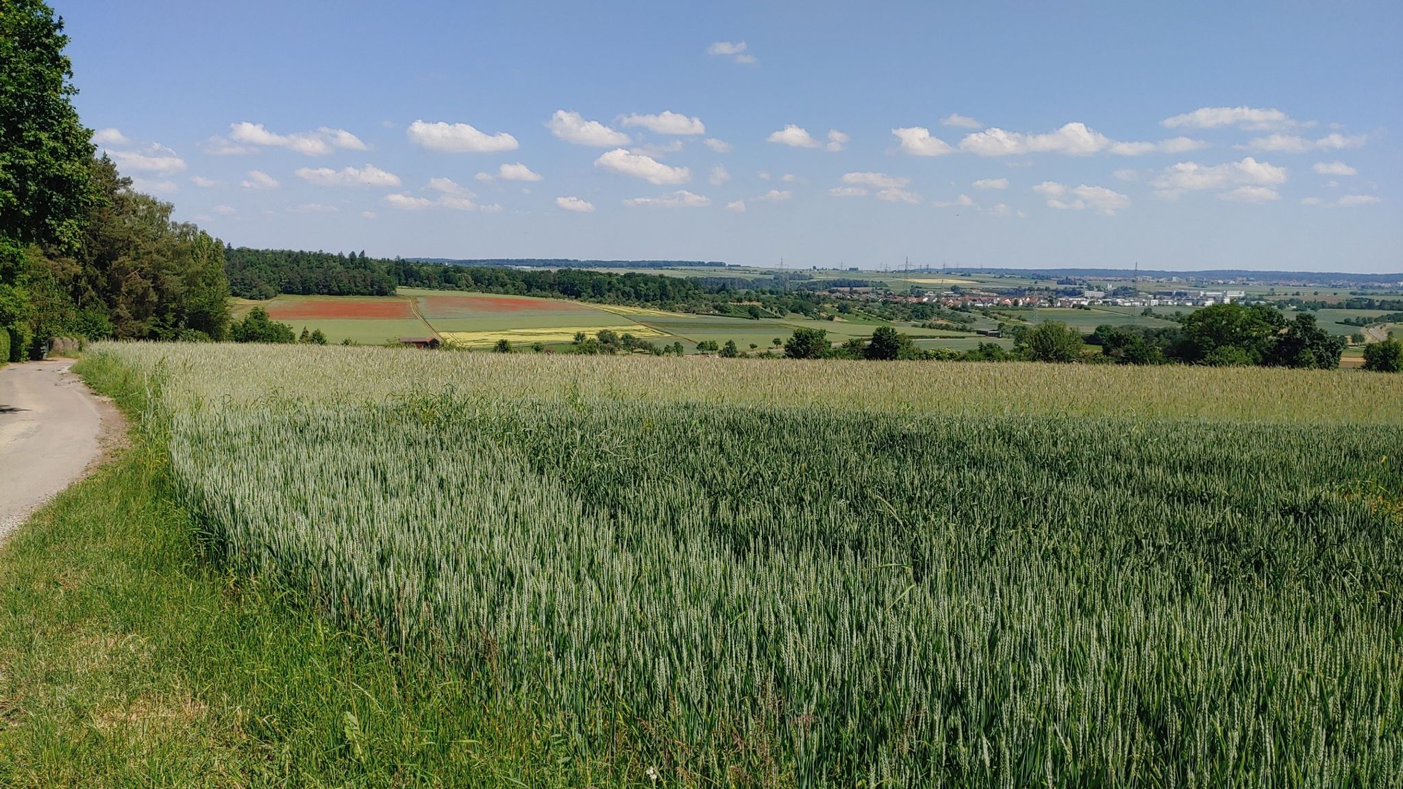 Blick nach Darmsheim