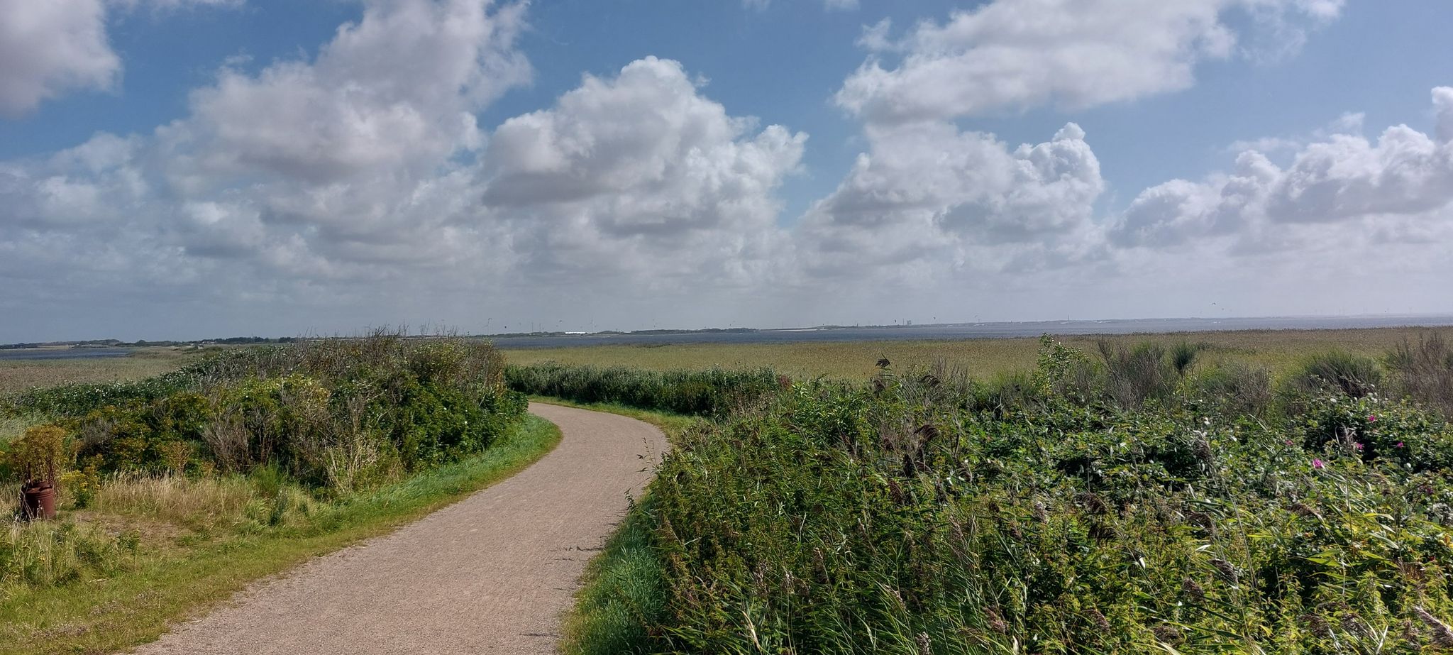 Ringköbingfjörd