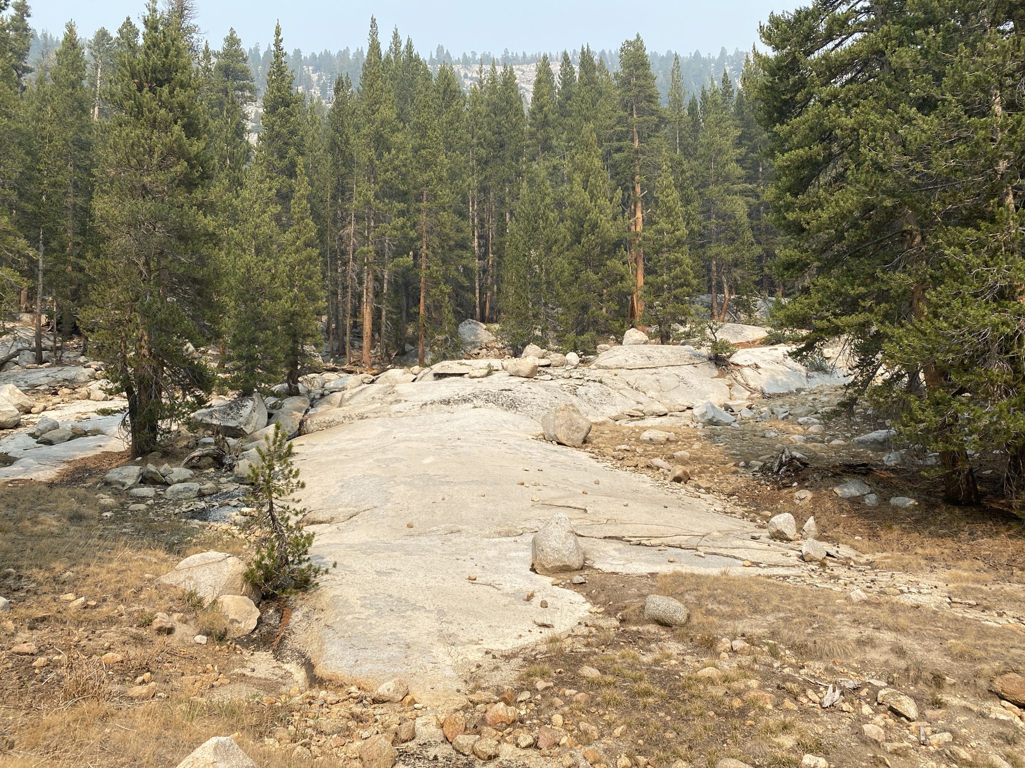 A rocky, open clearing with scattered boulders and tall pine trees under a hazy sky. - Florence Lake to Evolution Valley Trail