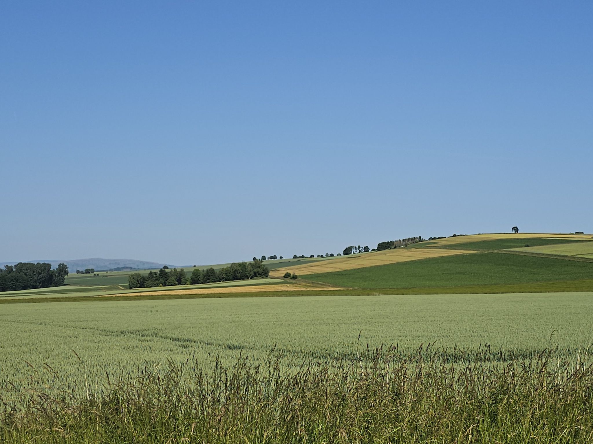 So wird die kleine Fahrradtour / zum leicht schmückenden Beiwerk nur.
