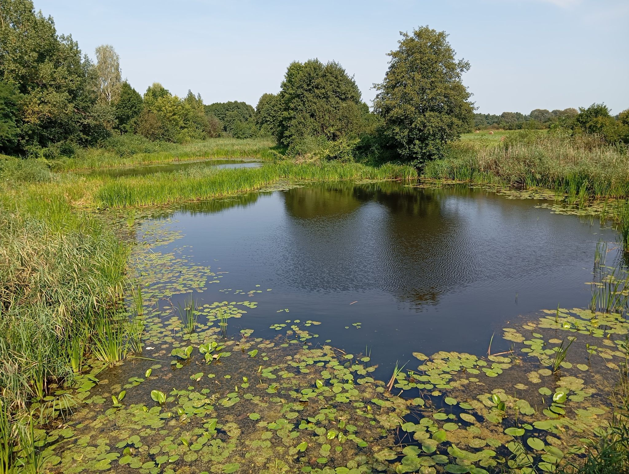 Bałtów