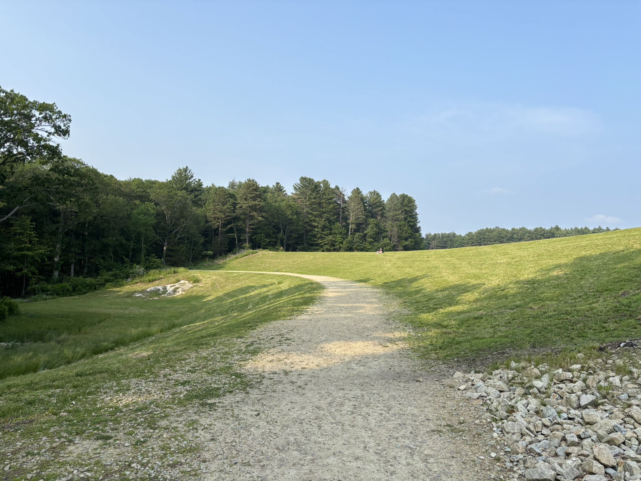 Sunny dirt path winding through green grassy hills towards a forest. - North Reservoir Loop