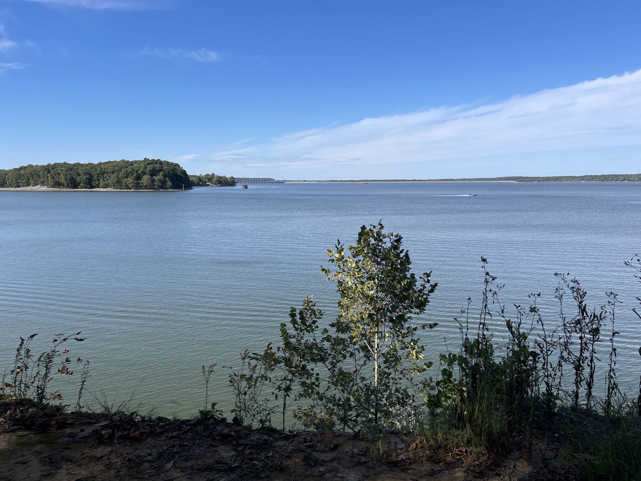 Wide blue lake under clear sky with distant forested shore. - Barkley Canal Bridge – View of the Cumberland River loop from North Welcome Station at Land Between The Lakes