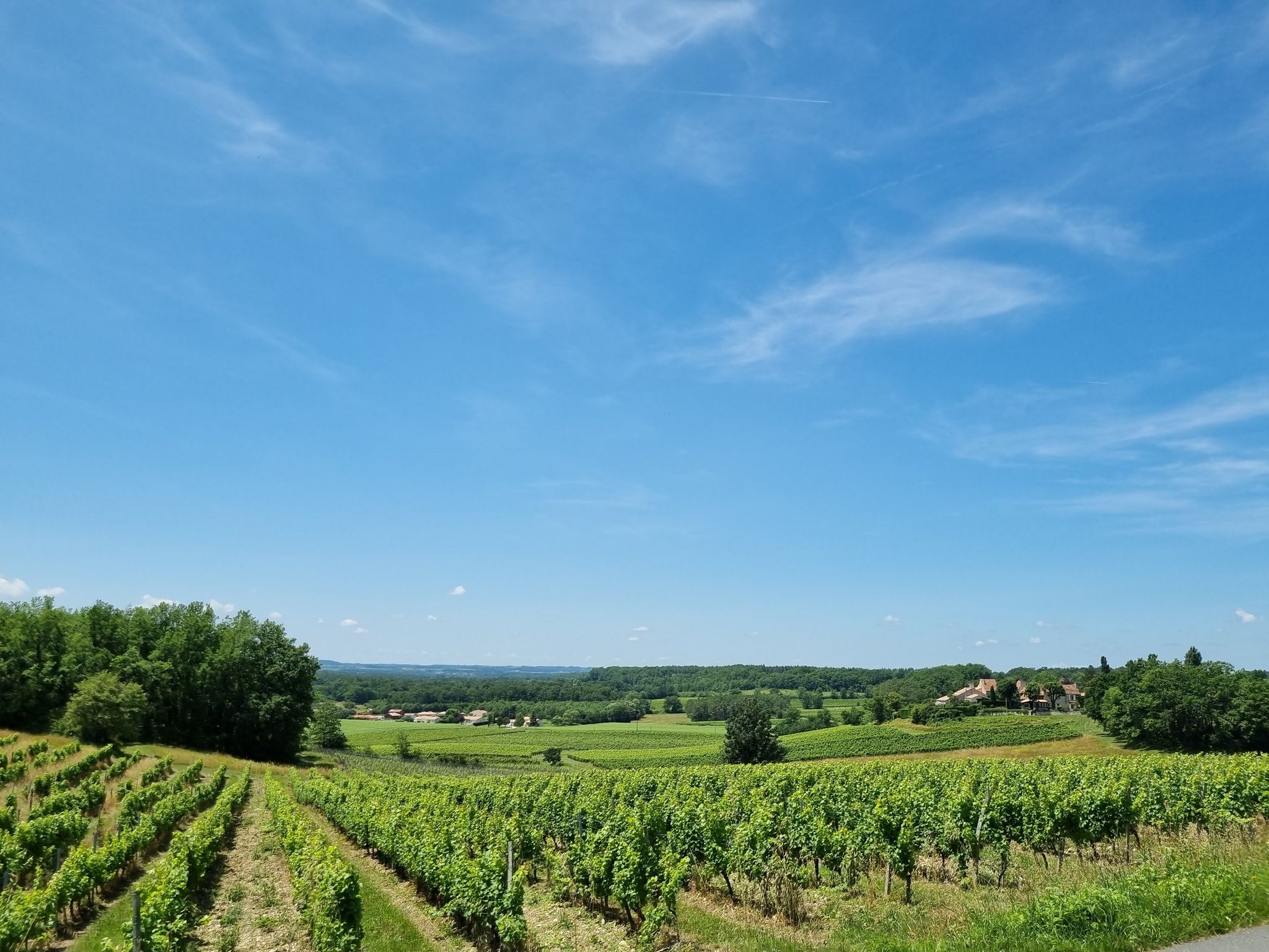 Les vignoble de Monbazillac